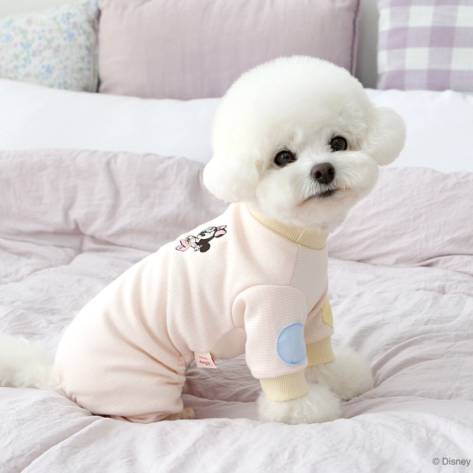 新品SLEEPING DOG ロンT&ロングパンツ オフホワイト コーギー