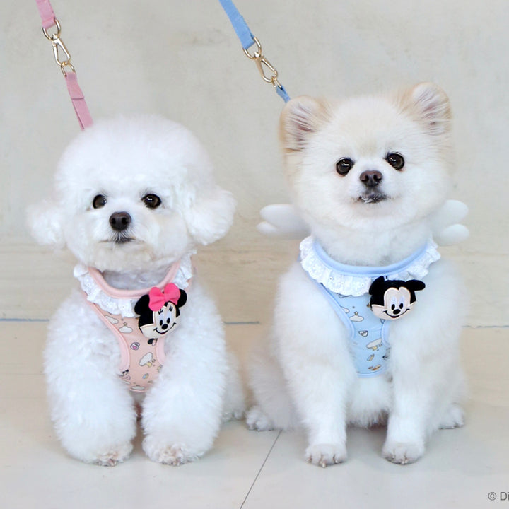 ※予約販売【ITS DOG】Disney baby friends angel harness