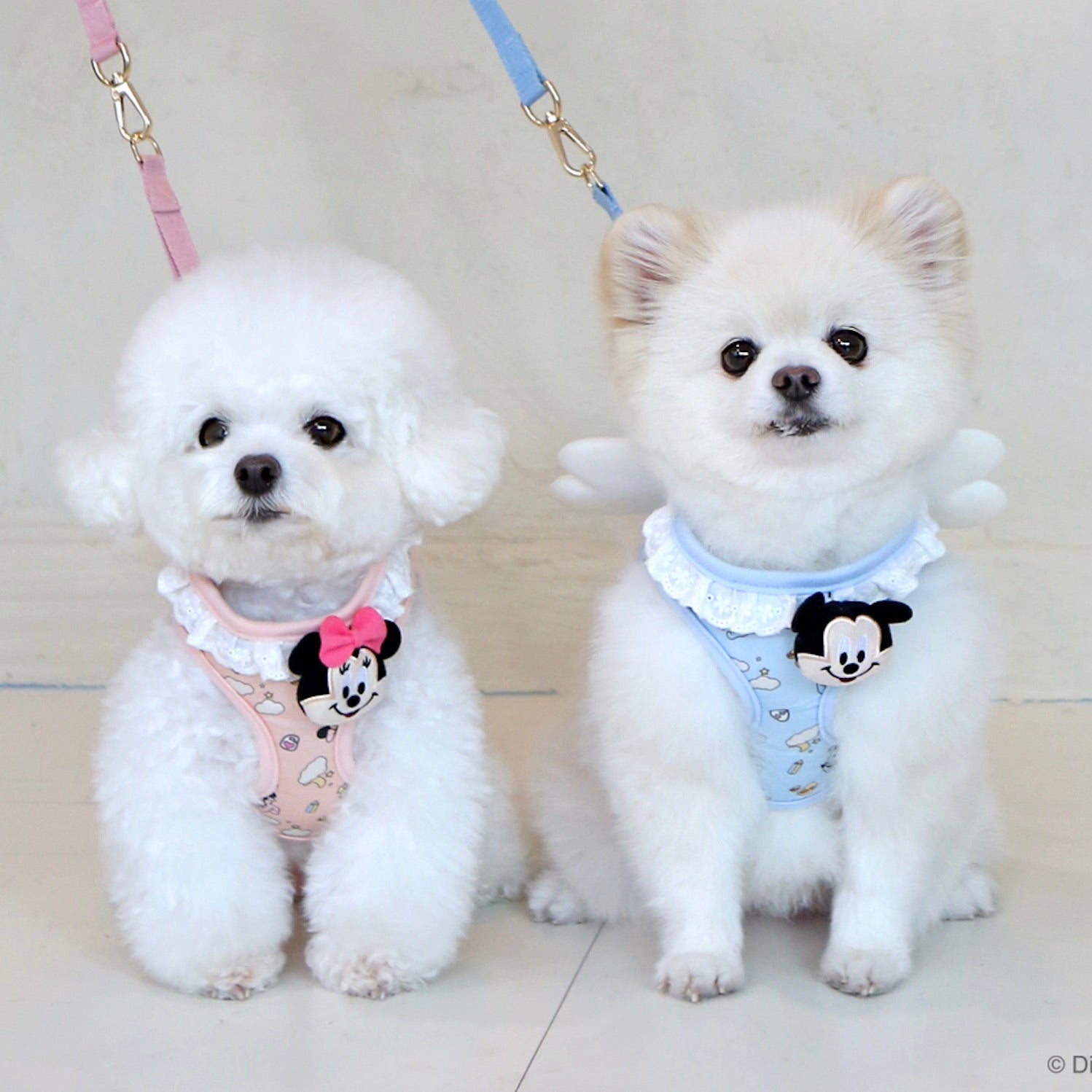 即納【ITS DOG】Disney baby friends angel harness
