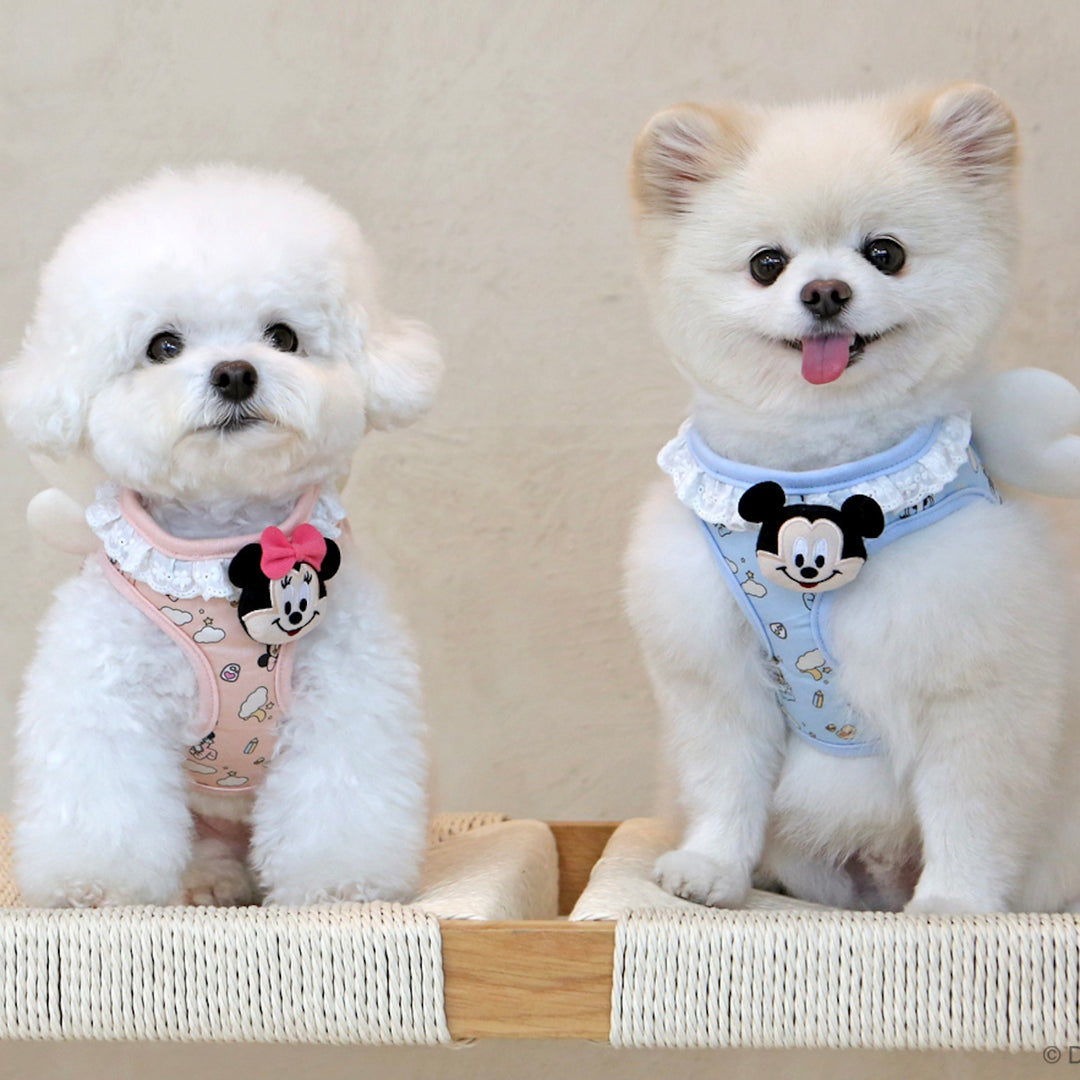 ※予約販売【ITS DOG】Disney baby friends angel harness