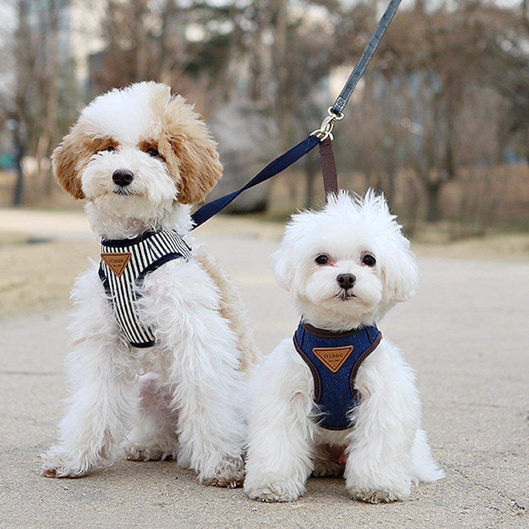 ※予約販売【ITS DOG】120cm basic leash