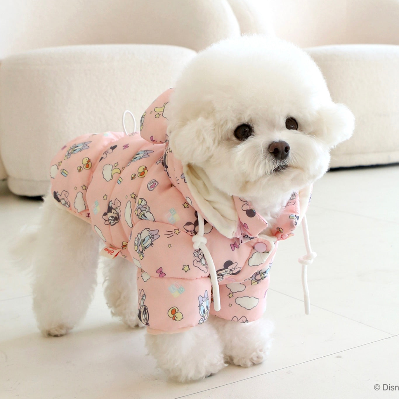 海外犬服 高品質なインポートのドッグウェア通販 