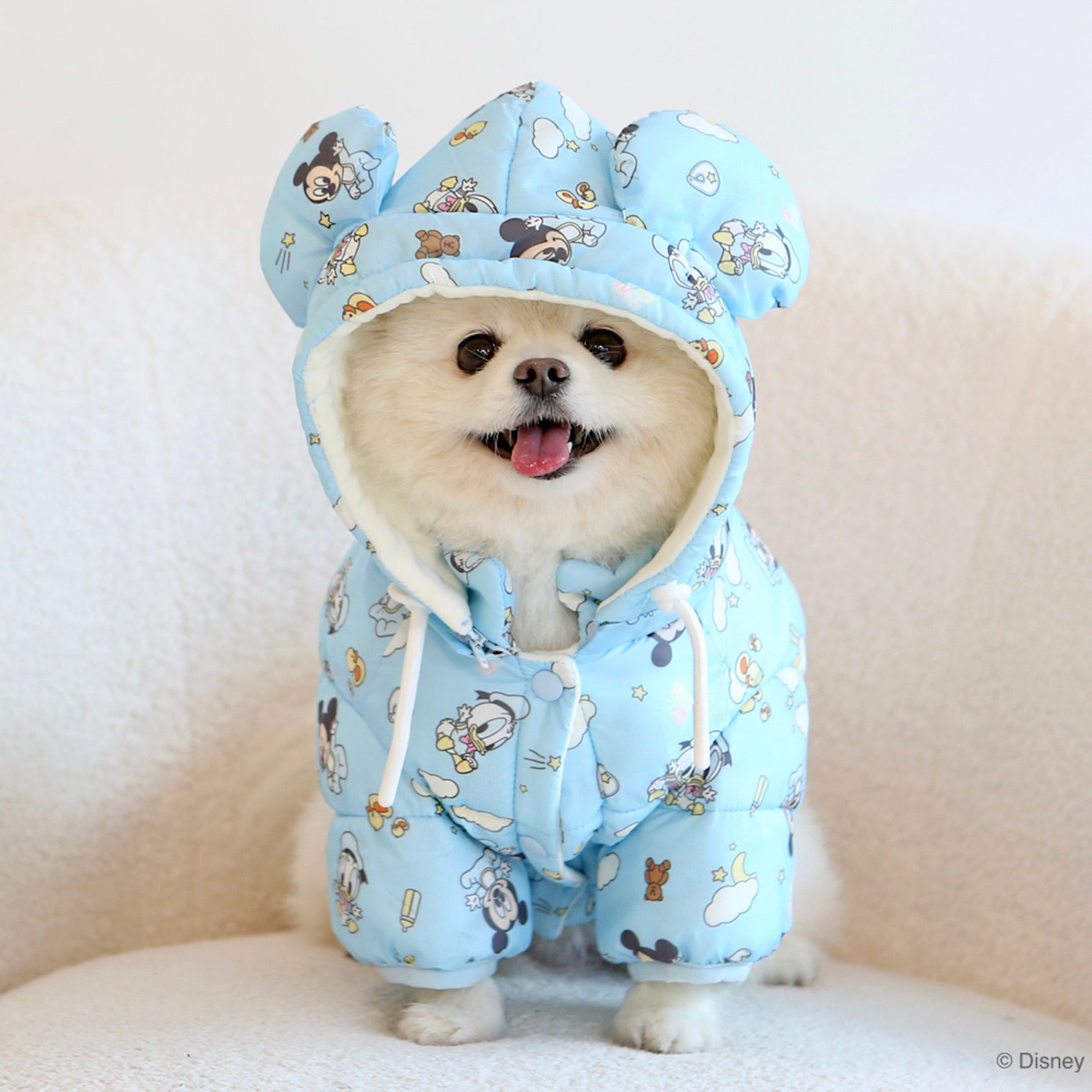 海外犬服 高品質なインポートのドッグウェア通販 