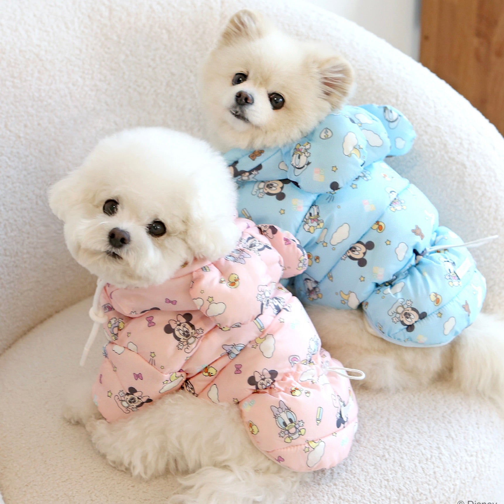 海外犬服 高品質なインポートのドッグウェア通販 