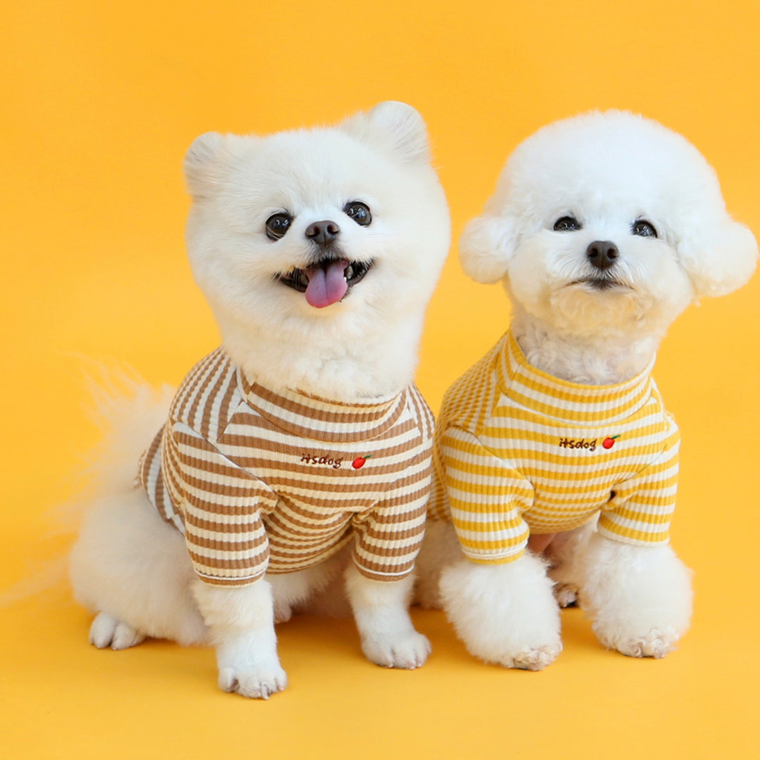 ※予約販売【ITS DOG】Disney chip'n dale ribbed t-shirt(Yellow)