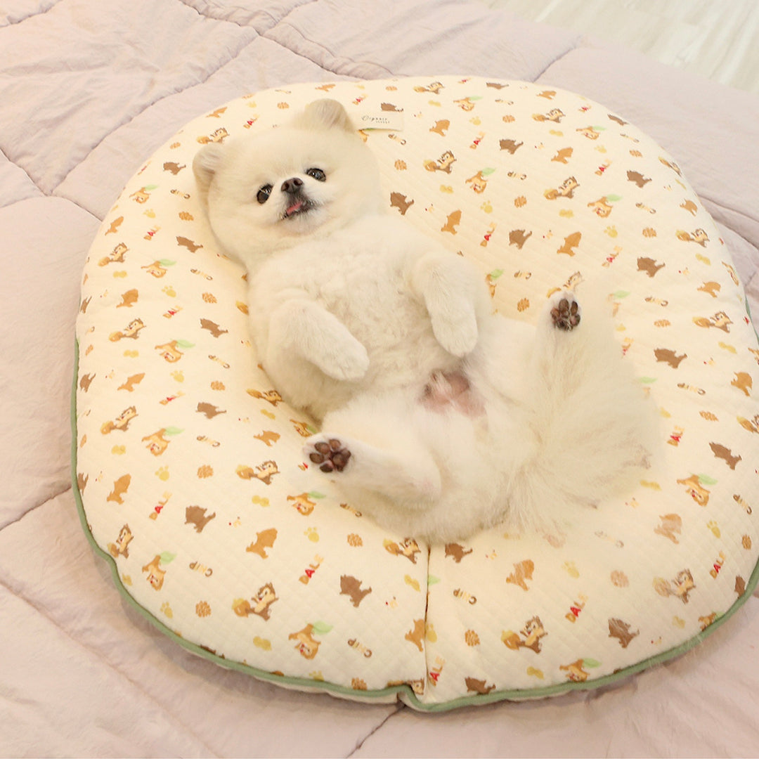 ※予約販売【ITS DOG】Disney organic chip'n dale quilted nest bed