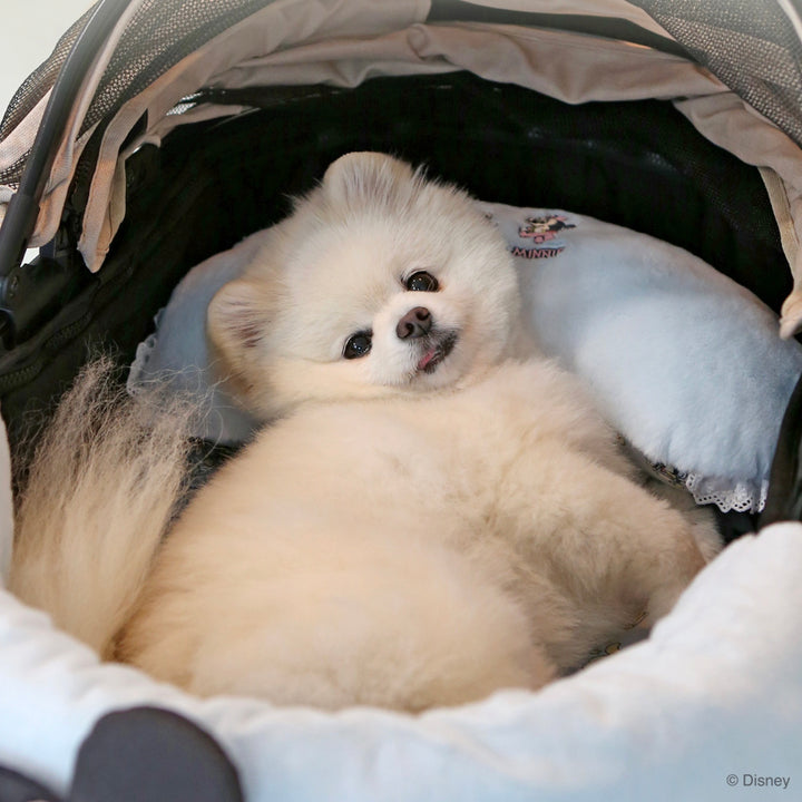 ※予約販売【ITS DOG】Disney Baby Friends Stroller Pillow