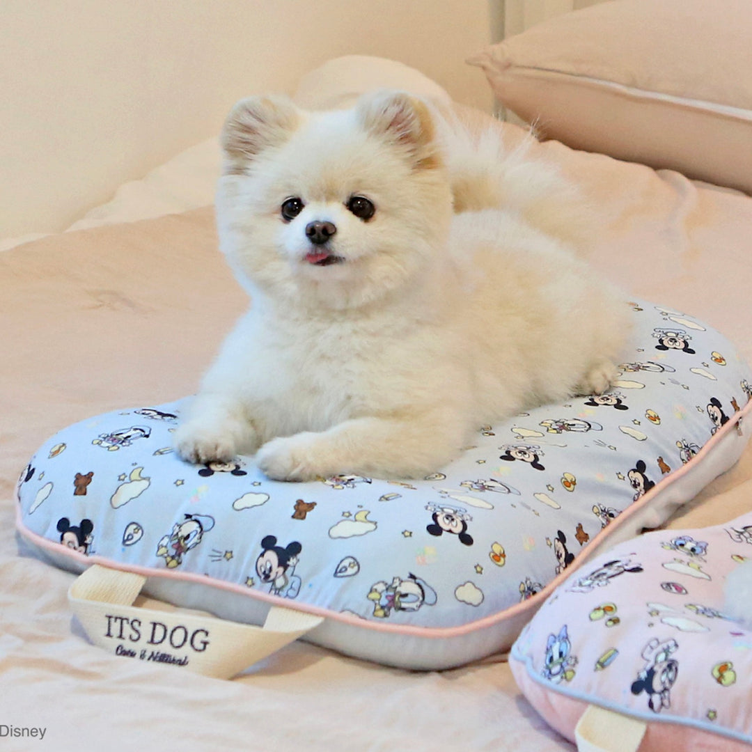 ※予約販売【ITS DOG】Disney Baby Friends Detachable Stroller Liner (Mickey)