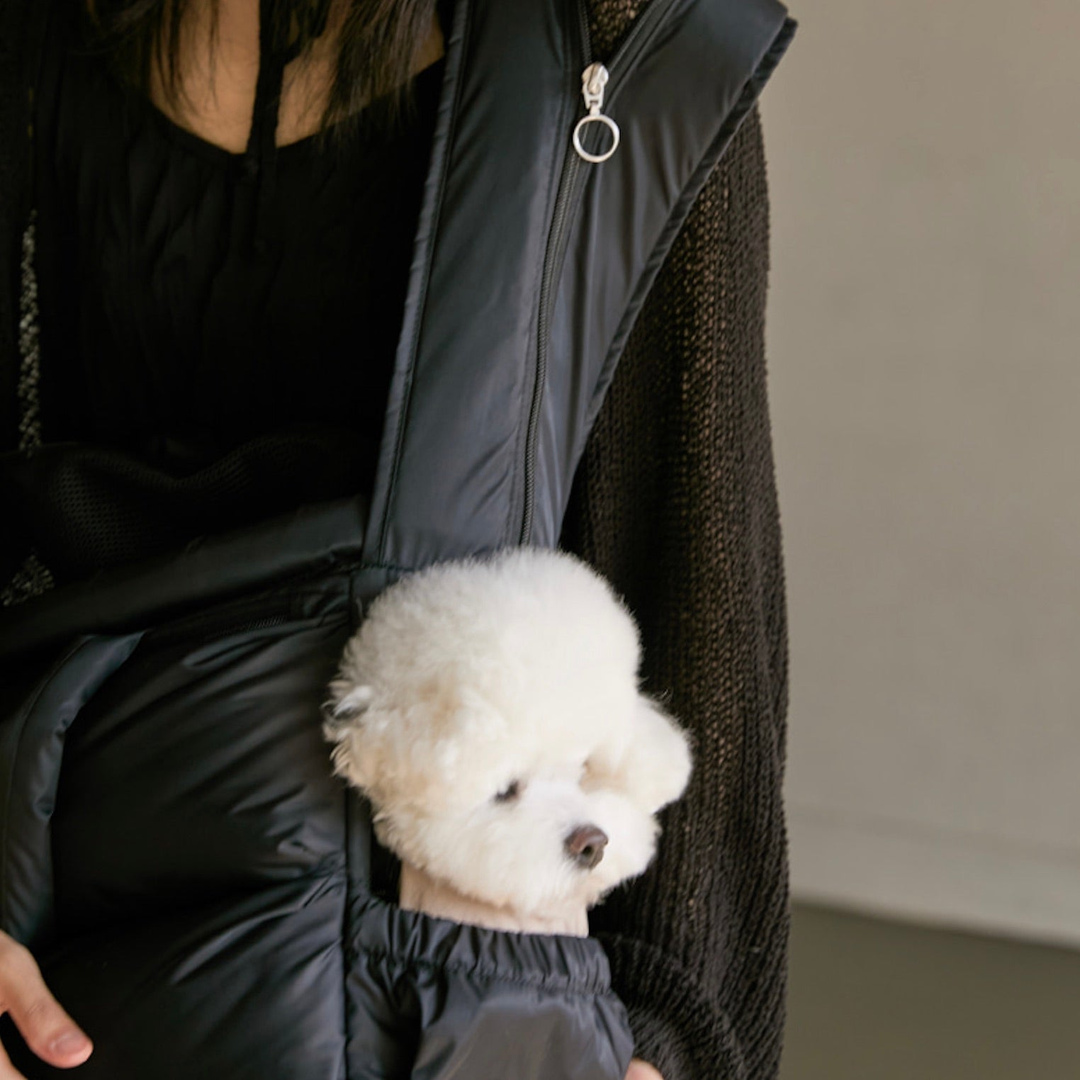 海外犬服 高品質なインポートのドッグウェア通販 