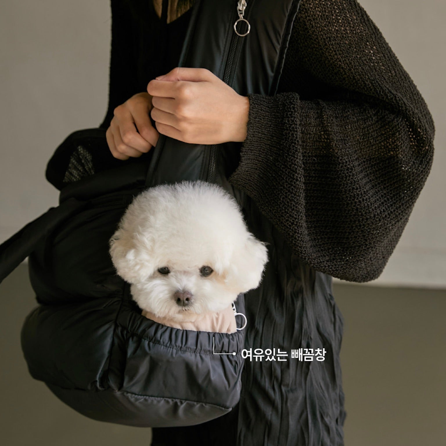 海外犬服 高品質なインポートのドッグウェア通販 