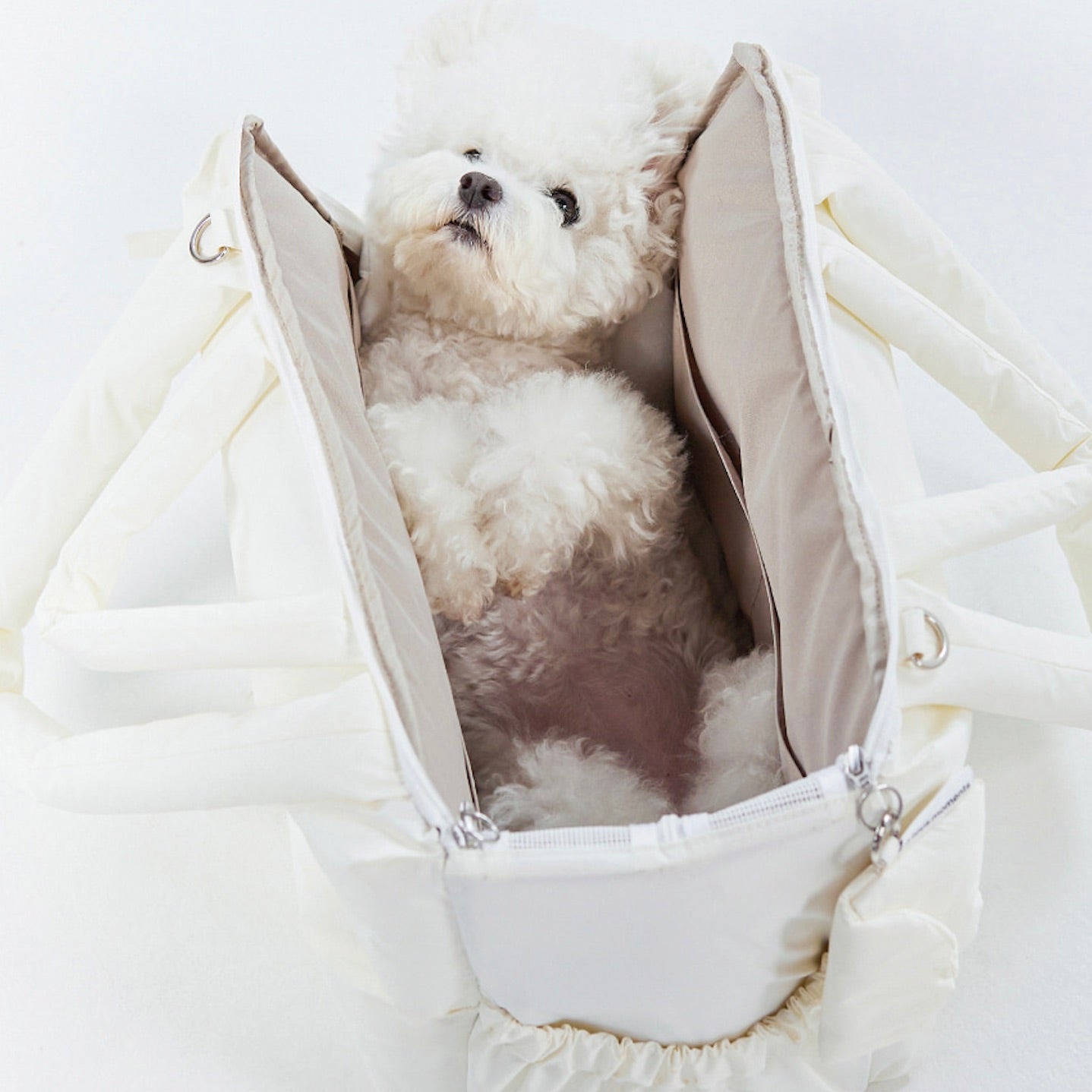 海外犬服 高品質なインポートのドッグウェア通販 