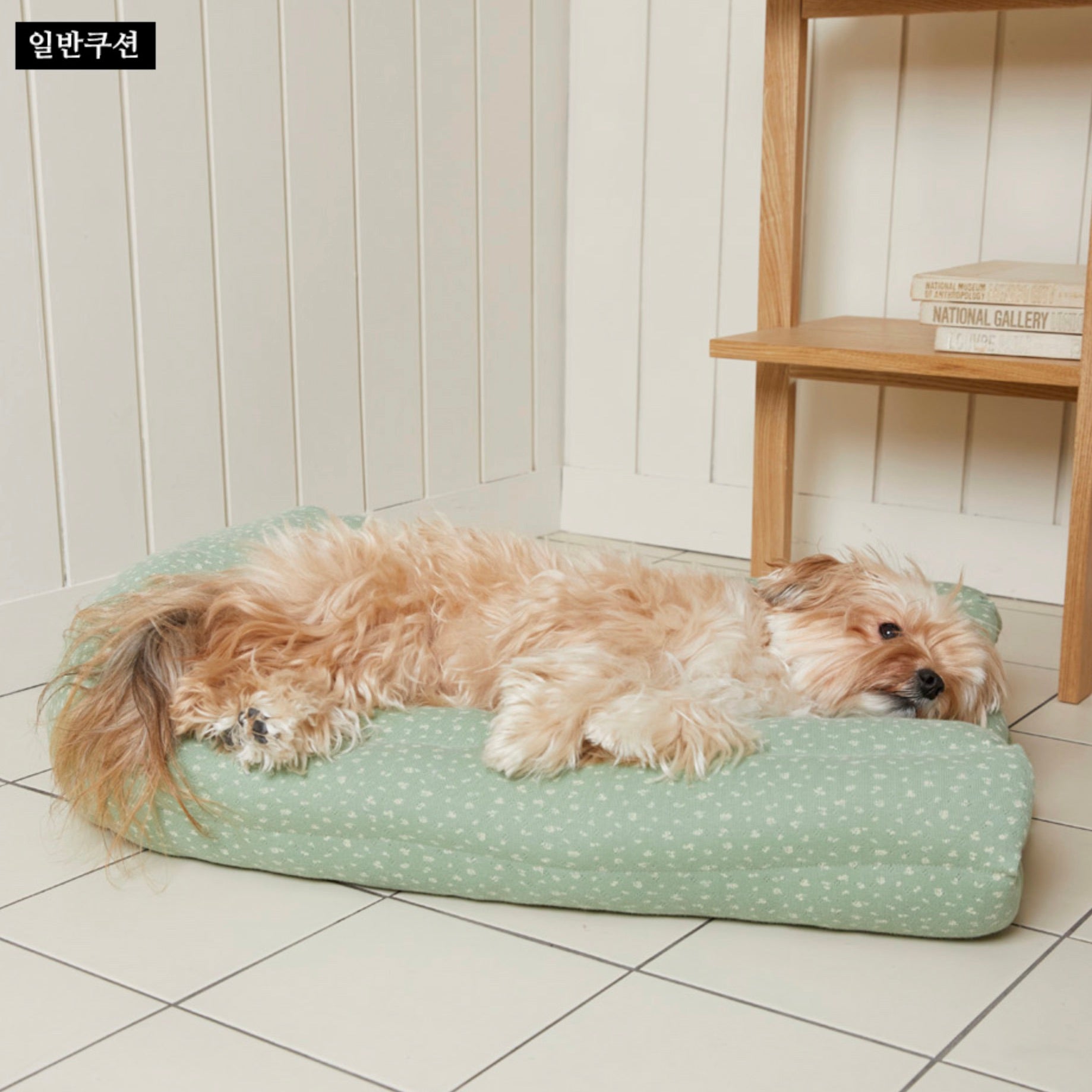 〚新品〛【AZALLEA】 カヌレ クッション バイオレット ピンク ベッド 新品〛【AZALLEA】 カヌレ クッション バイオレット ピンク