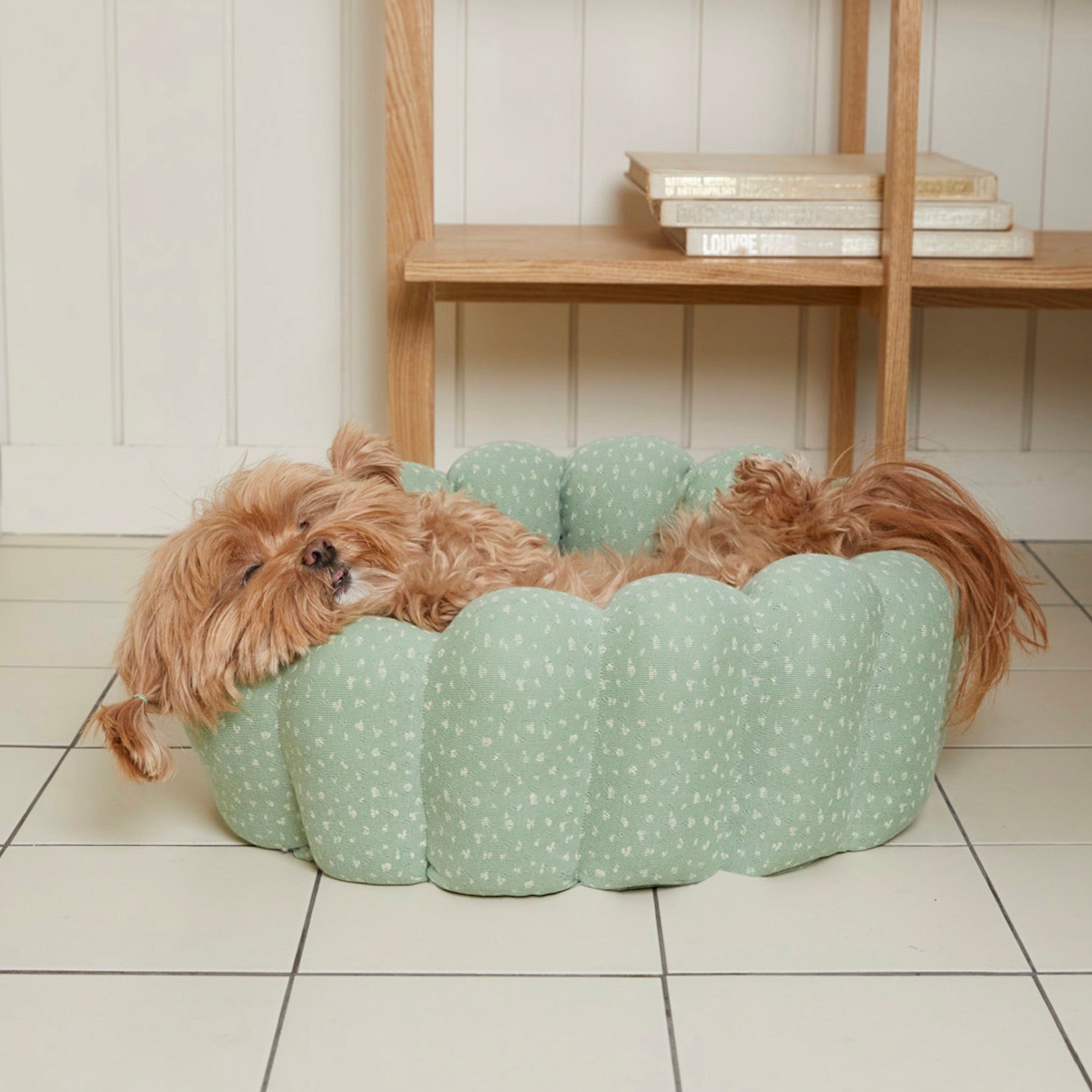 azalea azallea カヌレクッション　ベッド Lサイズ azalea azallea カヌレクッション ベッド Lサイズ