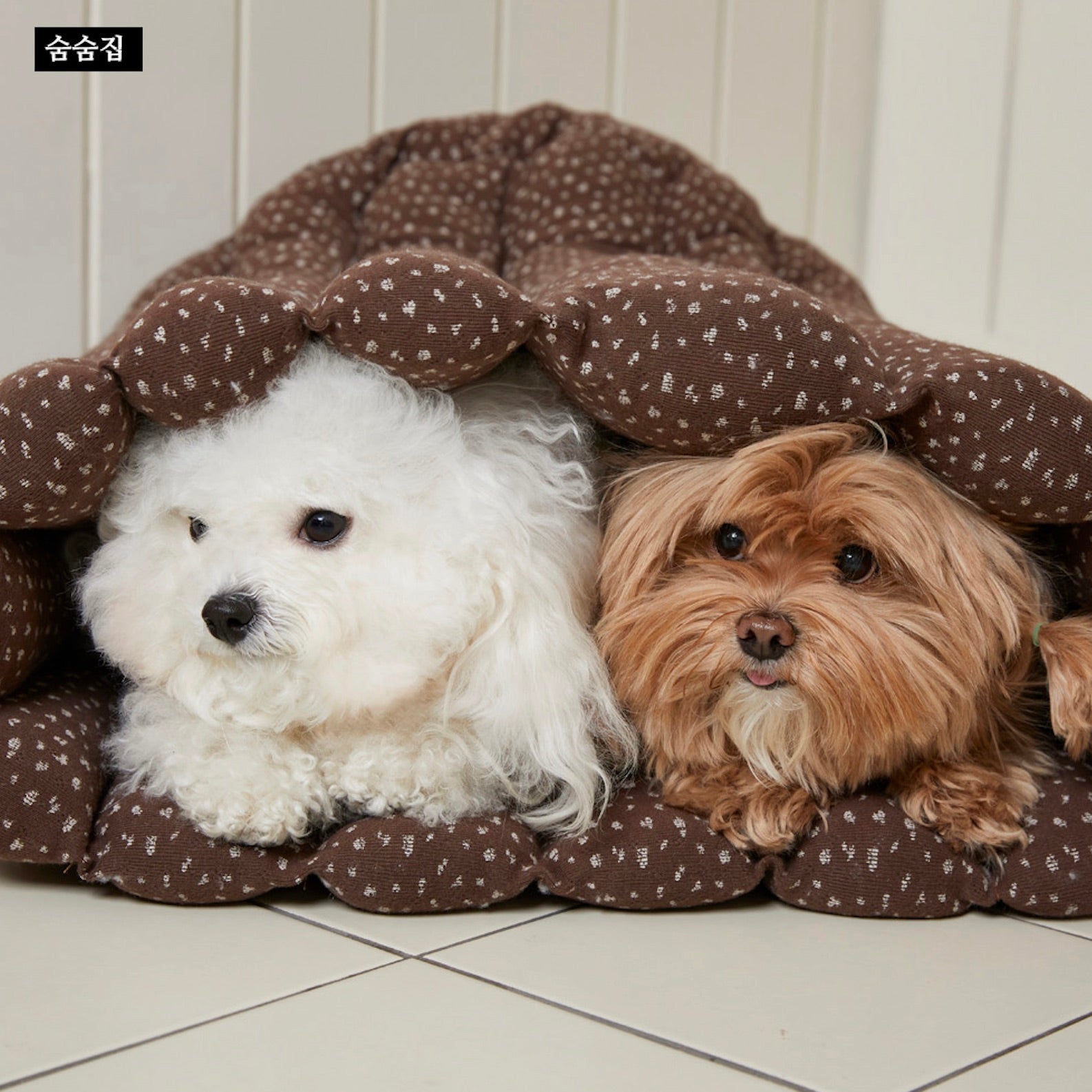 〚新品〛【AZALLEA】 カヌレ クッション バイオレット ピンク ベッド 新品〛【AZALLEA】 カヌレ クッション バイオレット ピンク