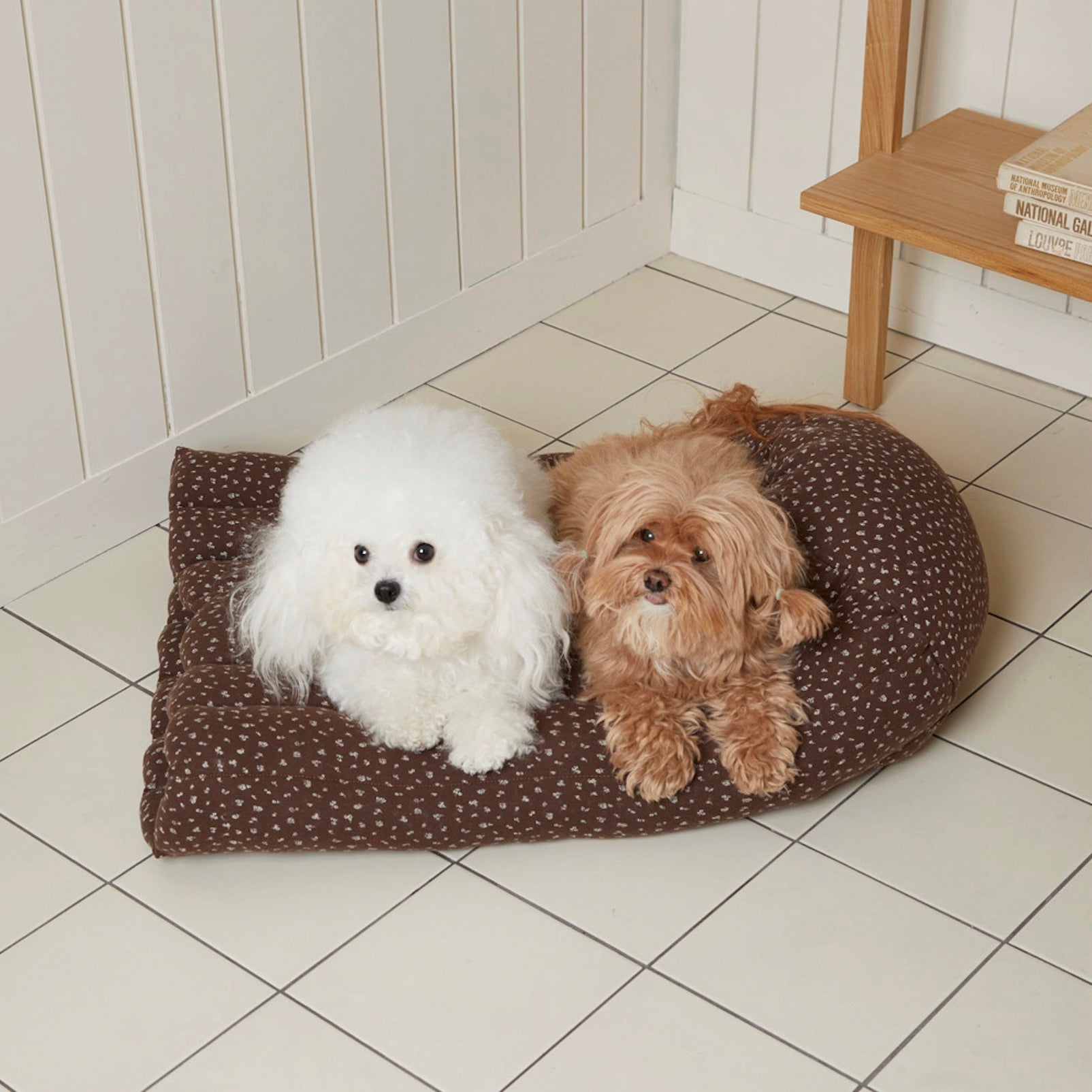 海外犬服 高品質なインポートのドッグウェア通販 