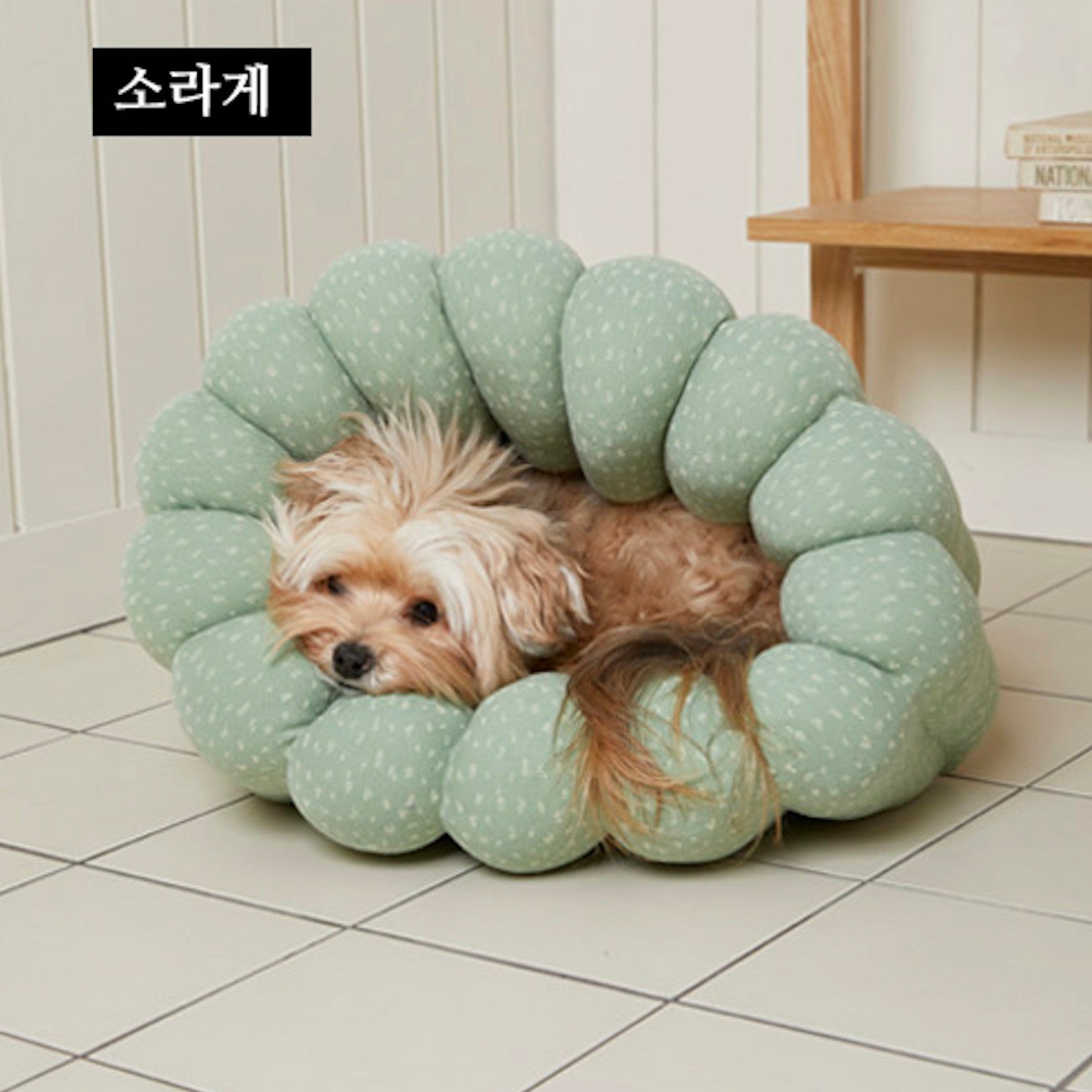 海外犬服 高品質なインポートのドッグウェア通販 