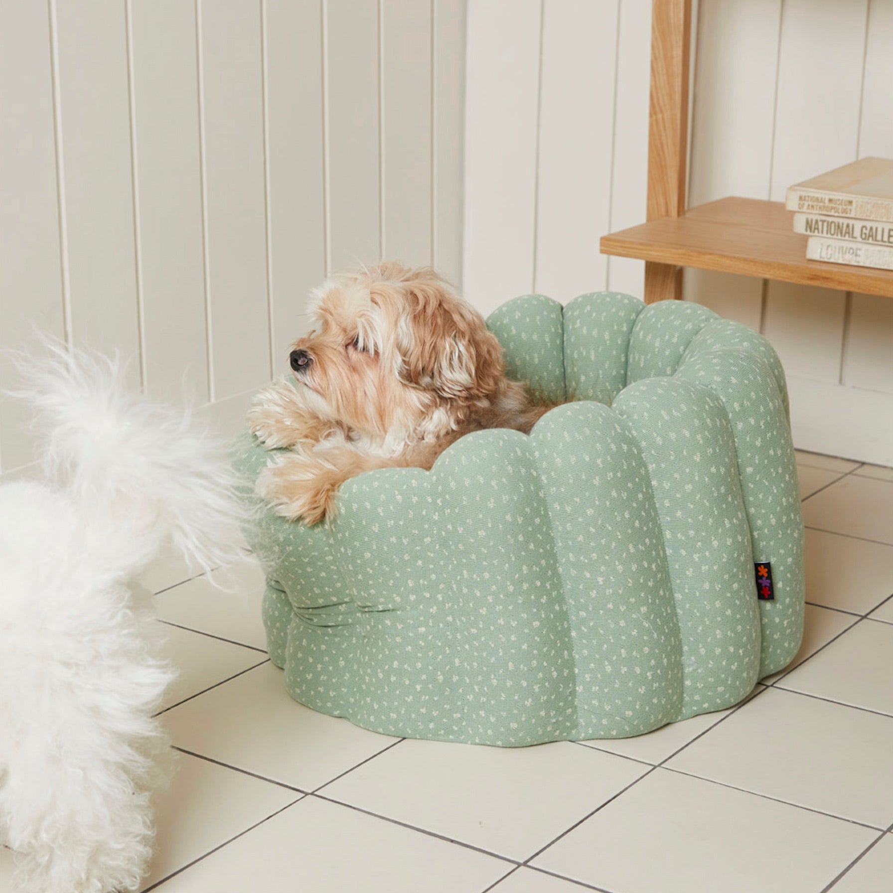 海外犬服 高品質なインポートのドッグウェア通販 