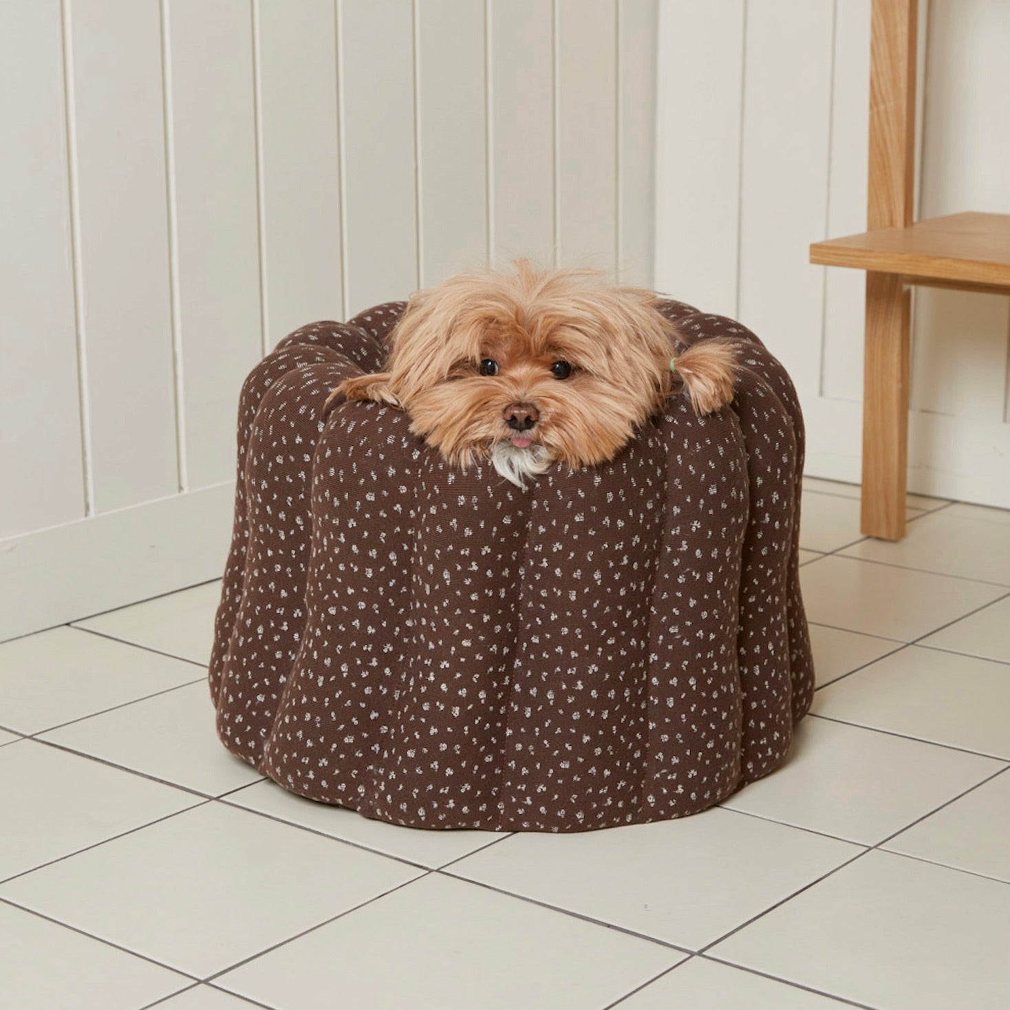 海外犬服 高品質なインポートのドッグウェア通販 