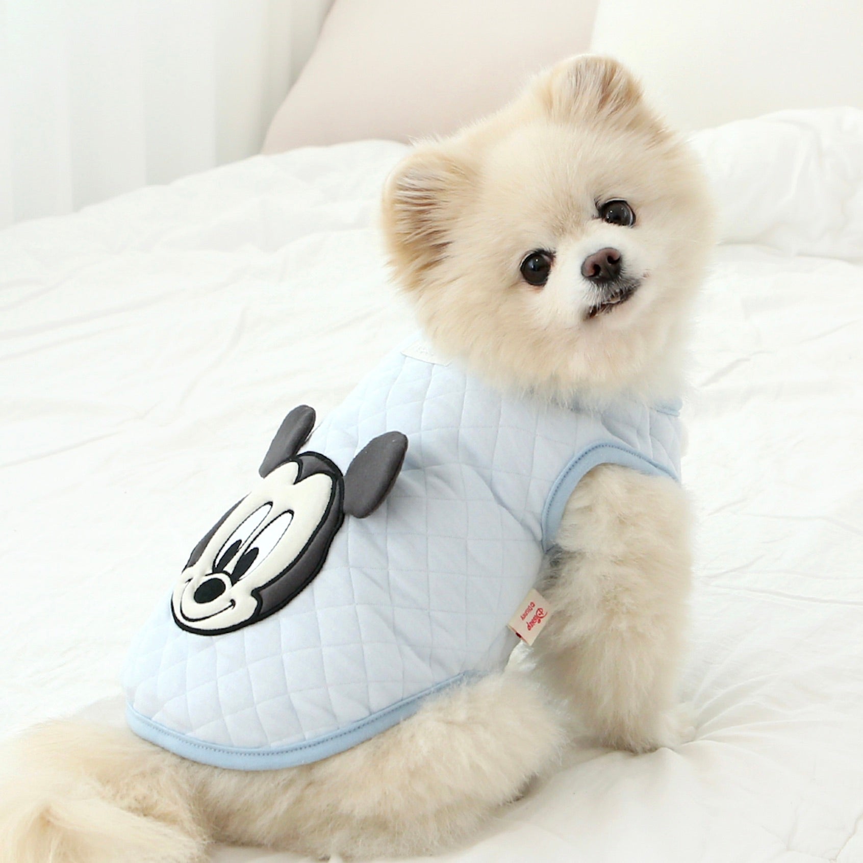 海外犬服 高品質なインポートのドッグウェア通販 