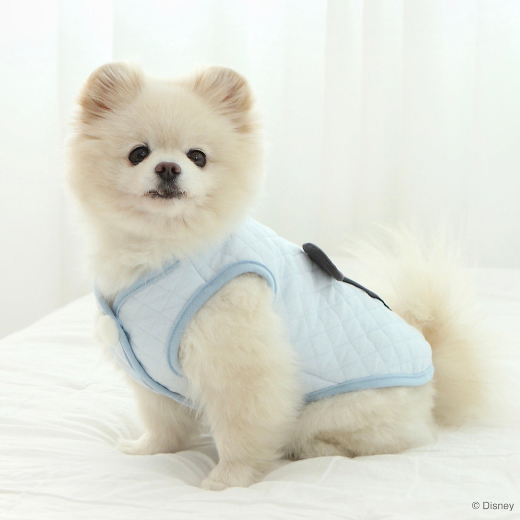 海外犬服 高品質なインポートのドッグウェア通販 