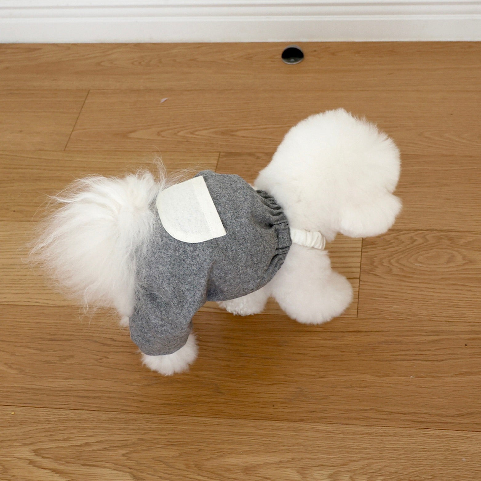 for pets only ロンパース ドッグ用ロンパース 大人気for pets only for pets only ロンパース ドッグ用ロンパース 大人気for pets only