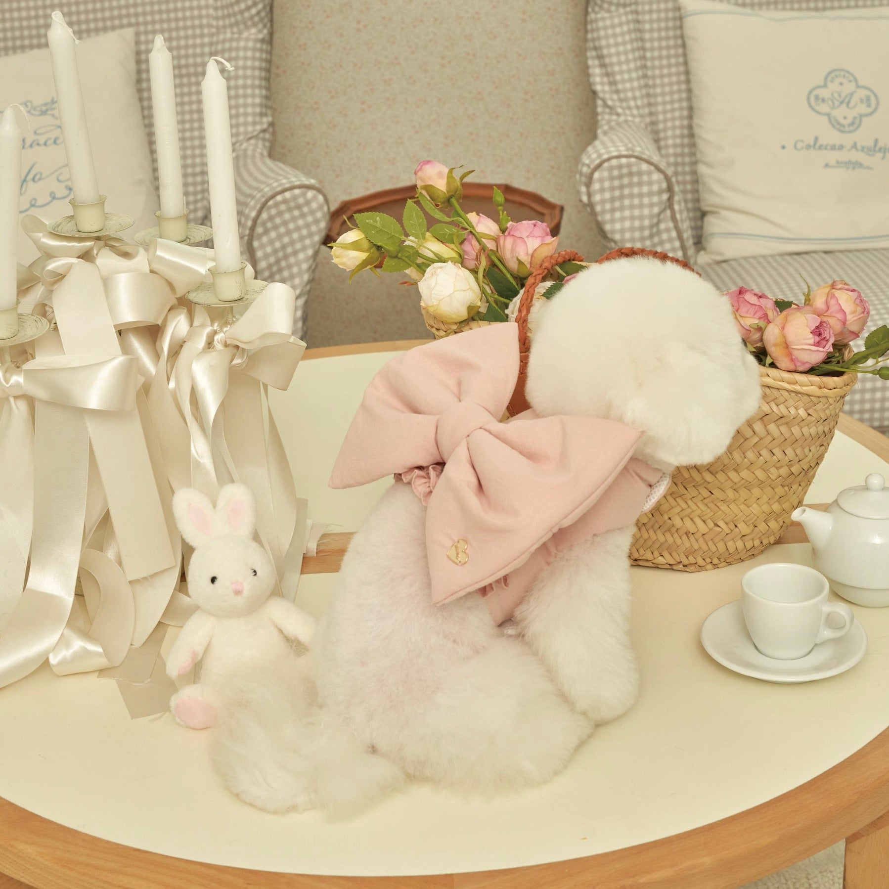 海外犬服 高品質なインポートのドッグウェア通販 