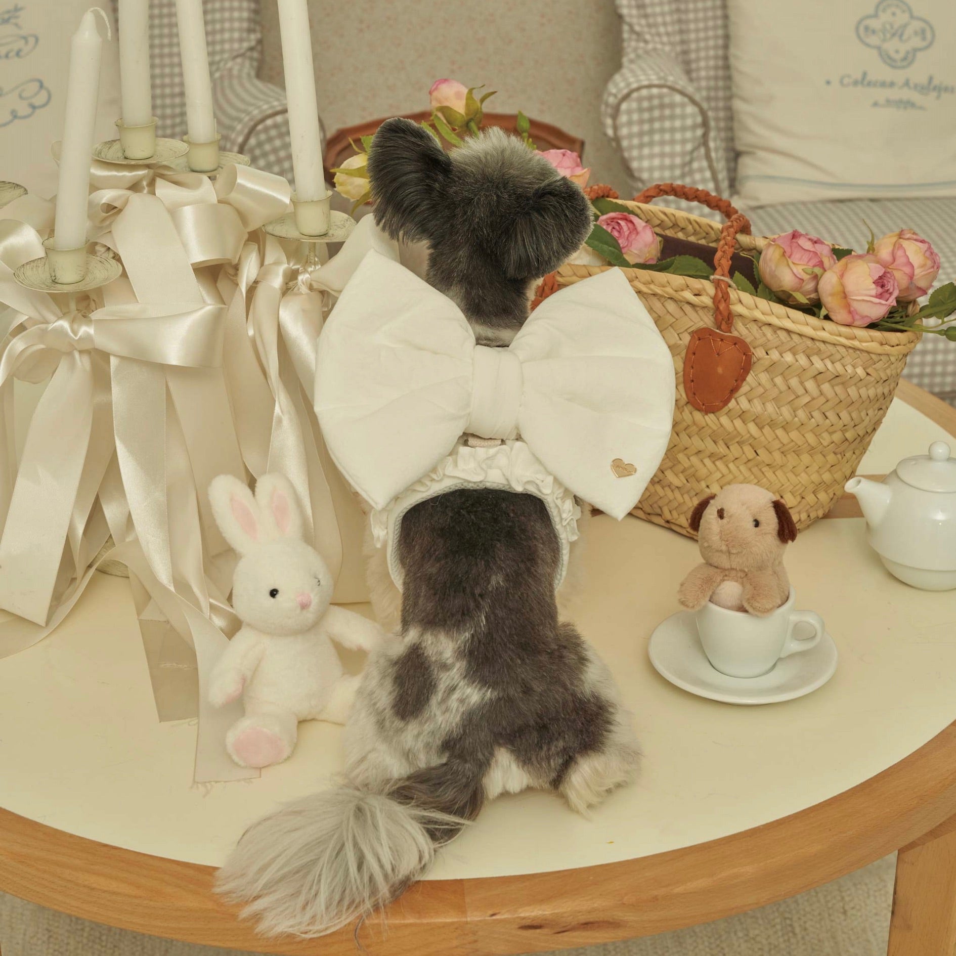 海外犬服 高品質なインポートのドッグウェア通販 