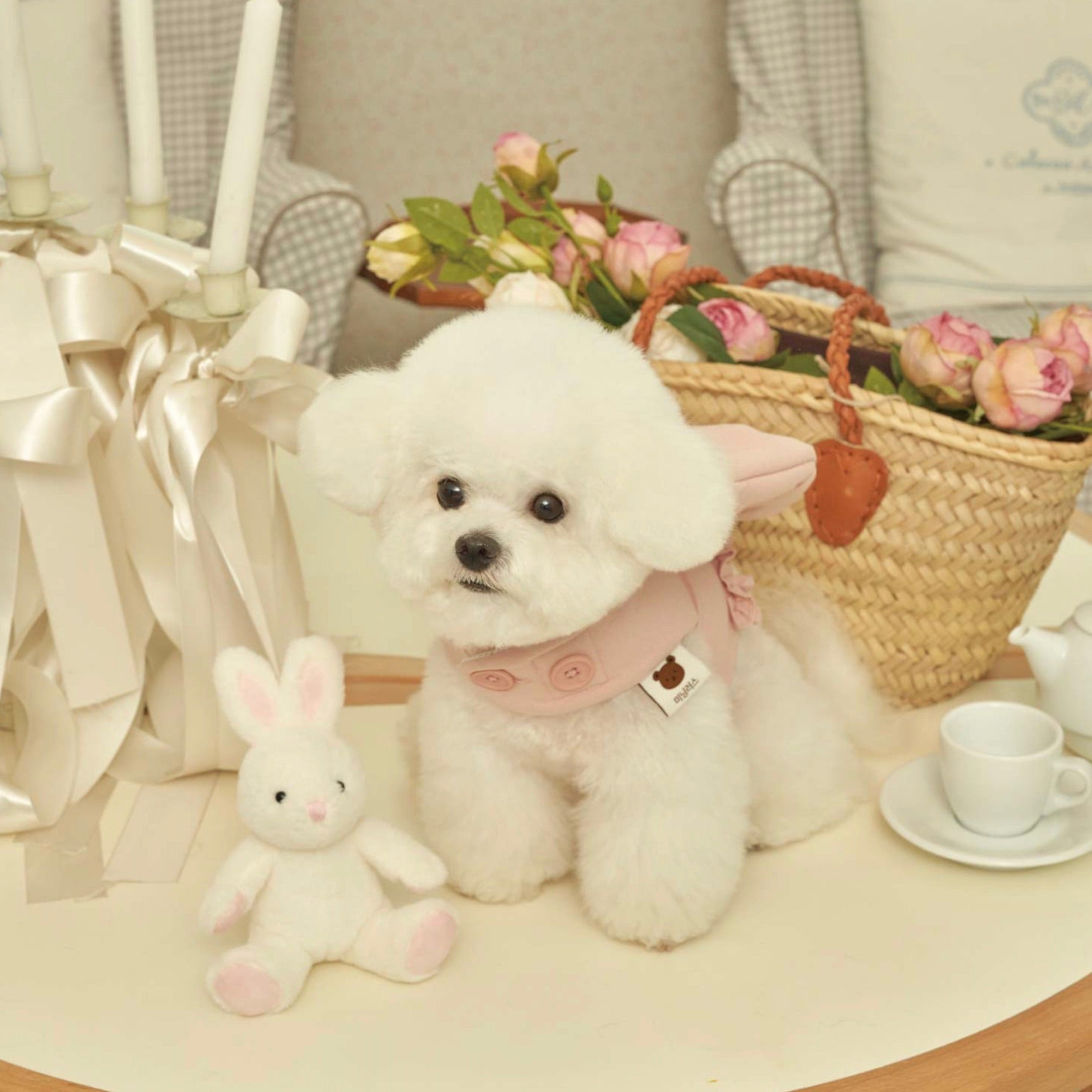 海外犬服 高品質なインポートのドッグウェア通販 