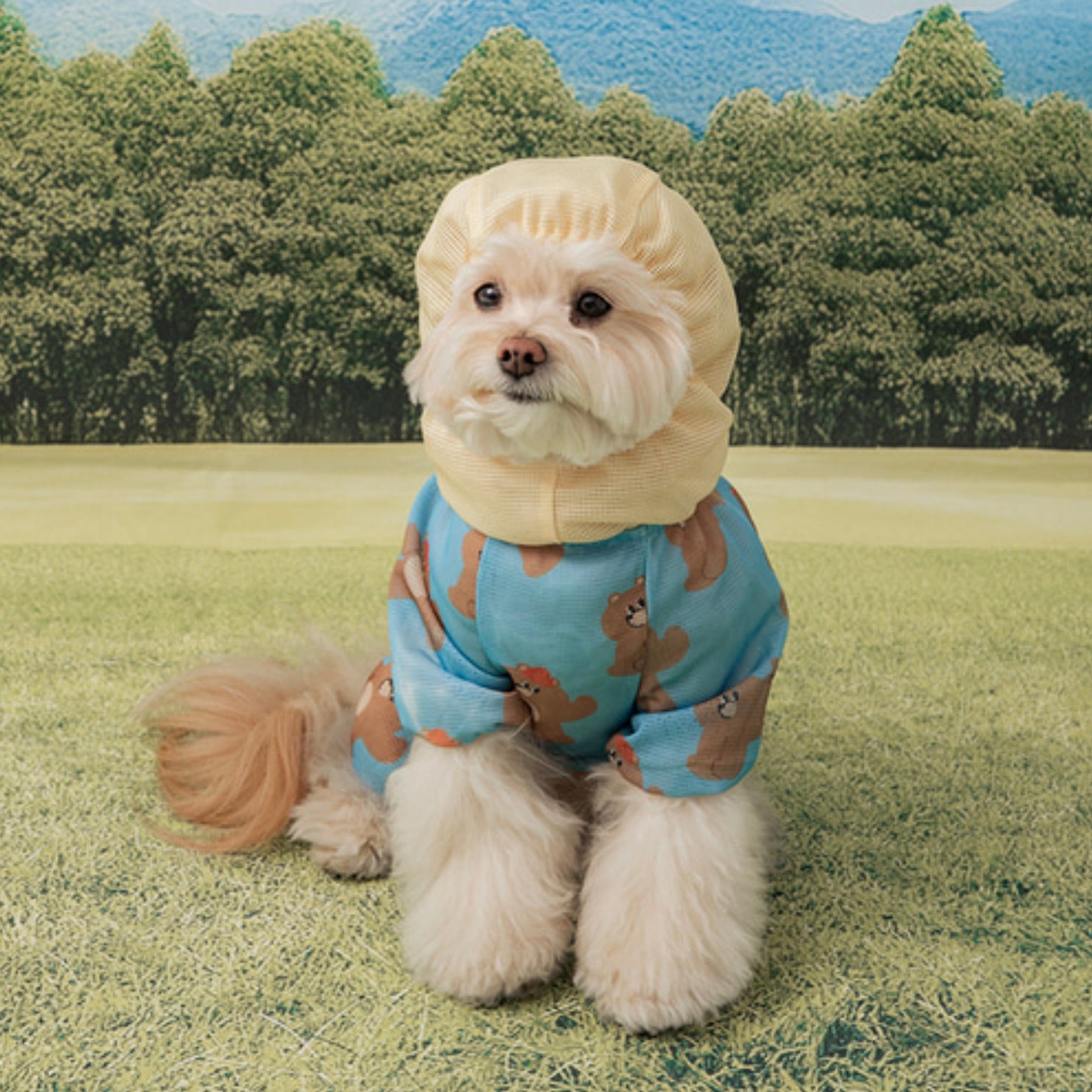 海外犬服 高品質なインポートのドッグウェア通販 