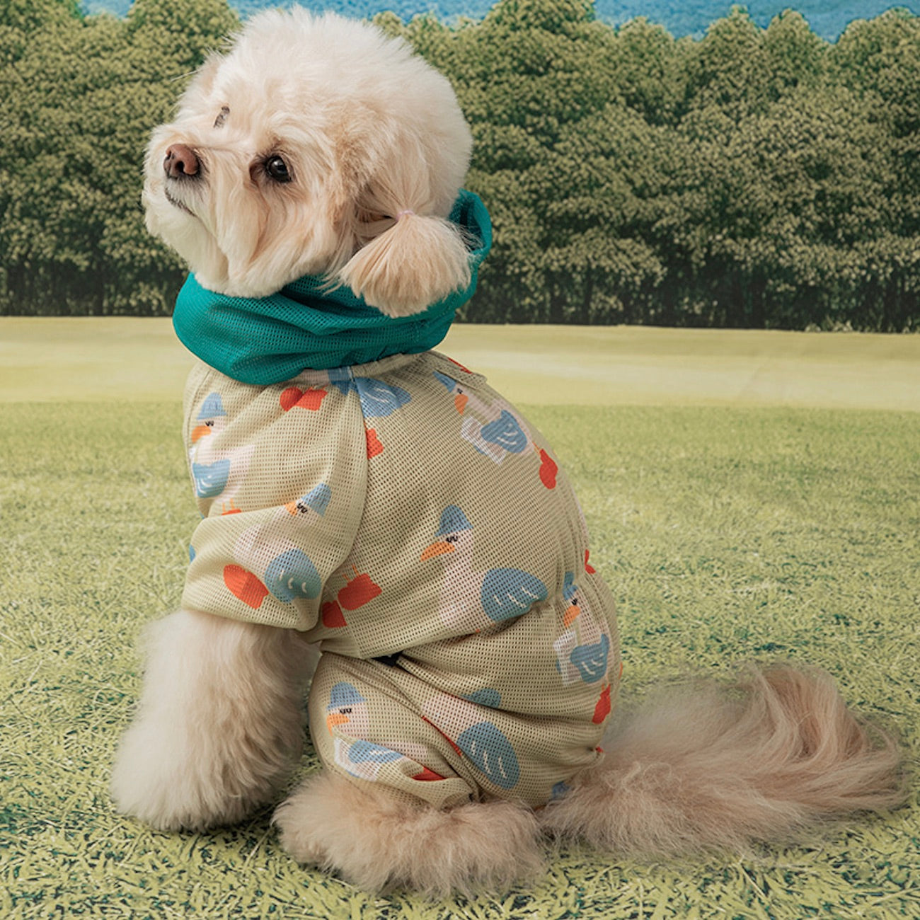 海外犬服 高品質なインポートのドッグウェア通販 
