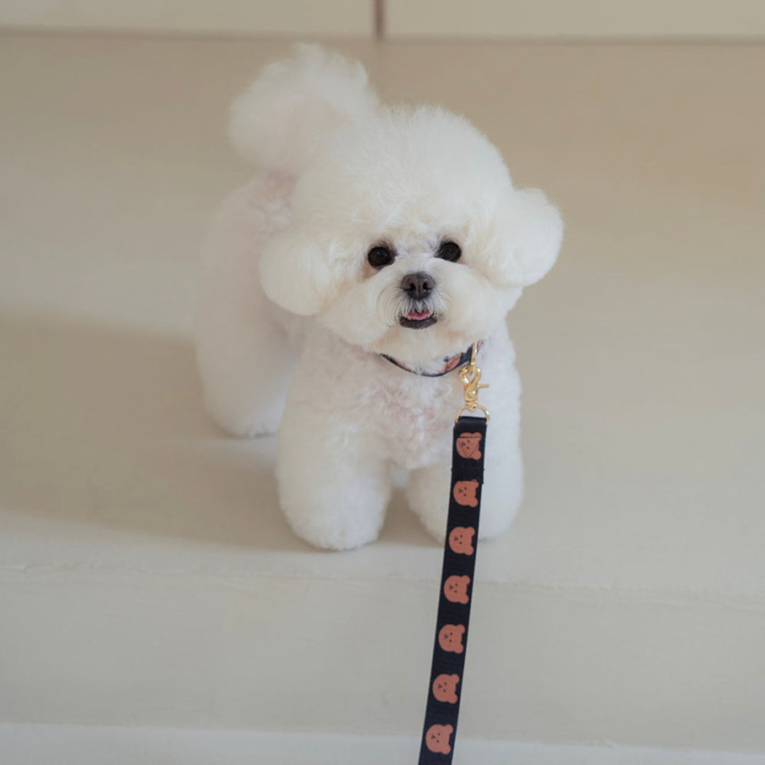 即納【OUNCE】Simple Bear Collar