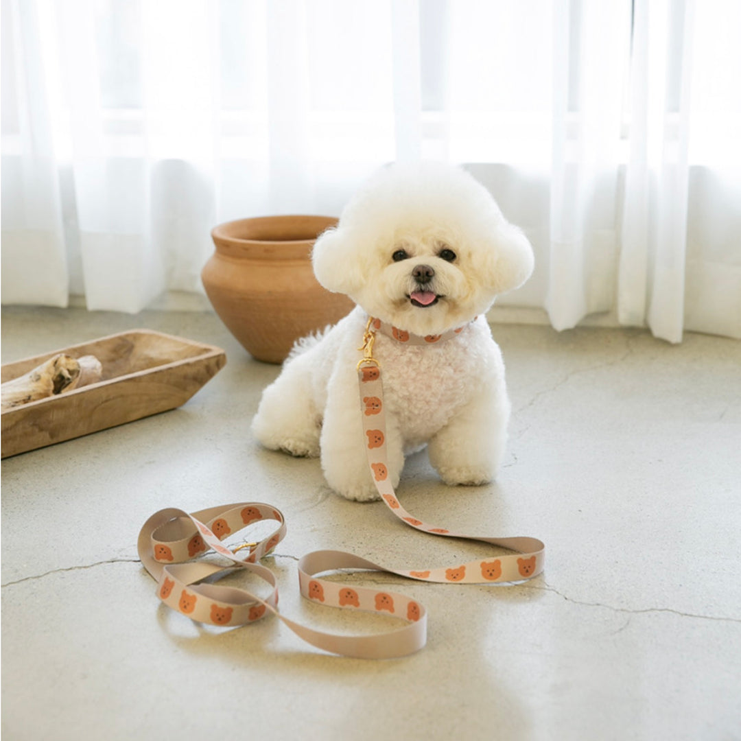 即納【OUNCE】Simple Bear Collar