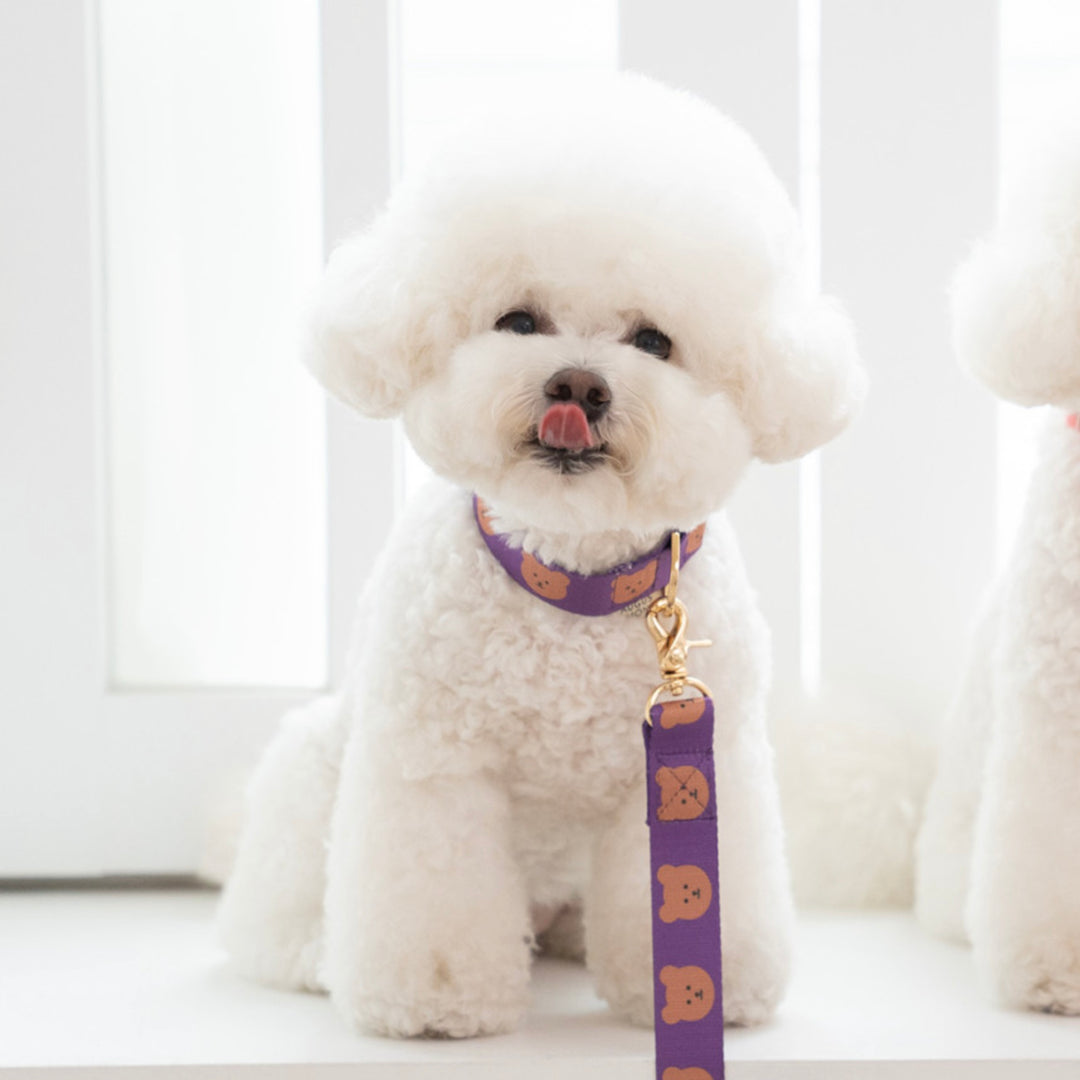 即納【OUNCE】Simple Bear Collar