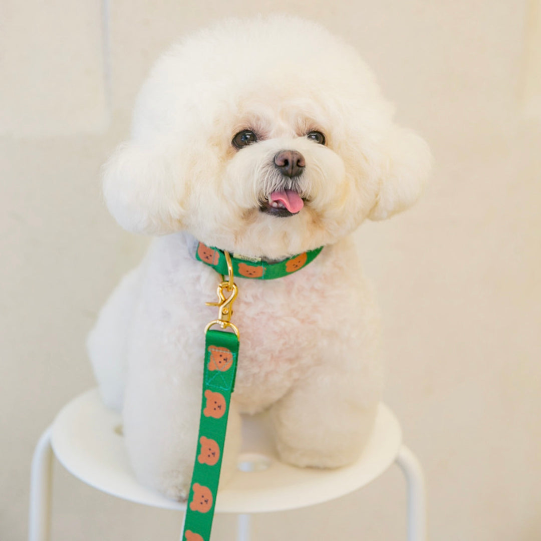 即納【OUNCE】Simple Bear Collar