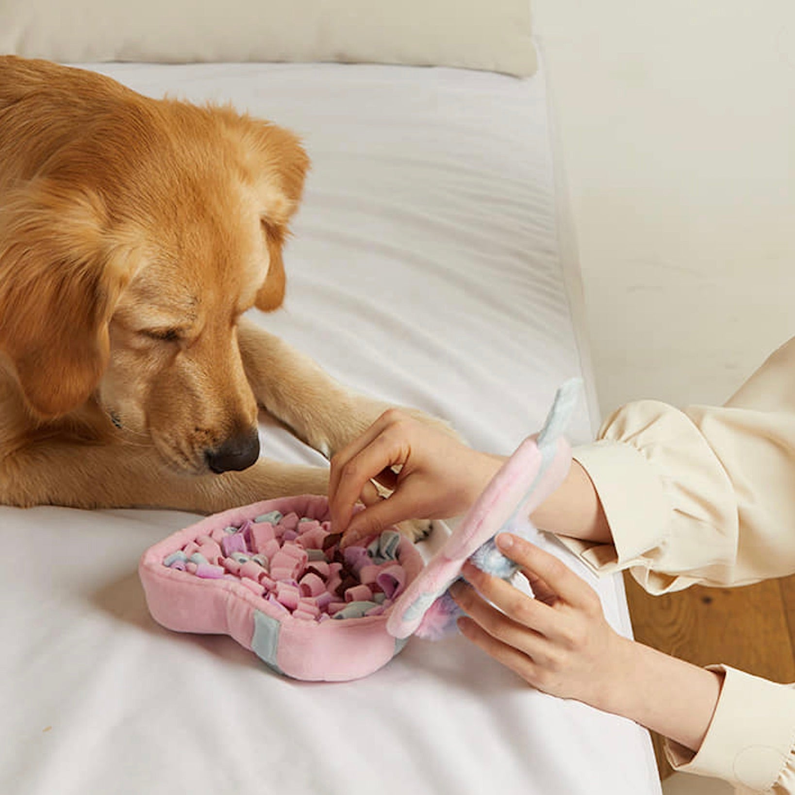 海外犬服 高品質なインポートのドッグウェア通販 