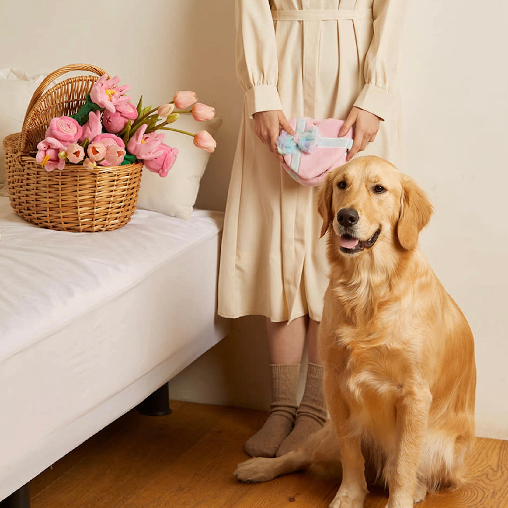 海外犬服 高品質なインポートのドッグウェア通販 
