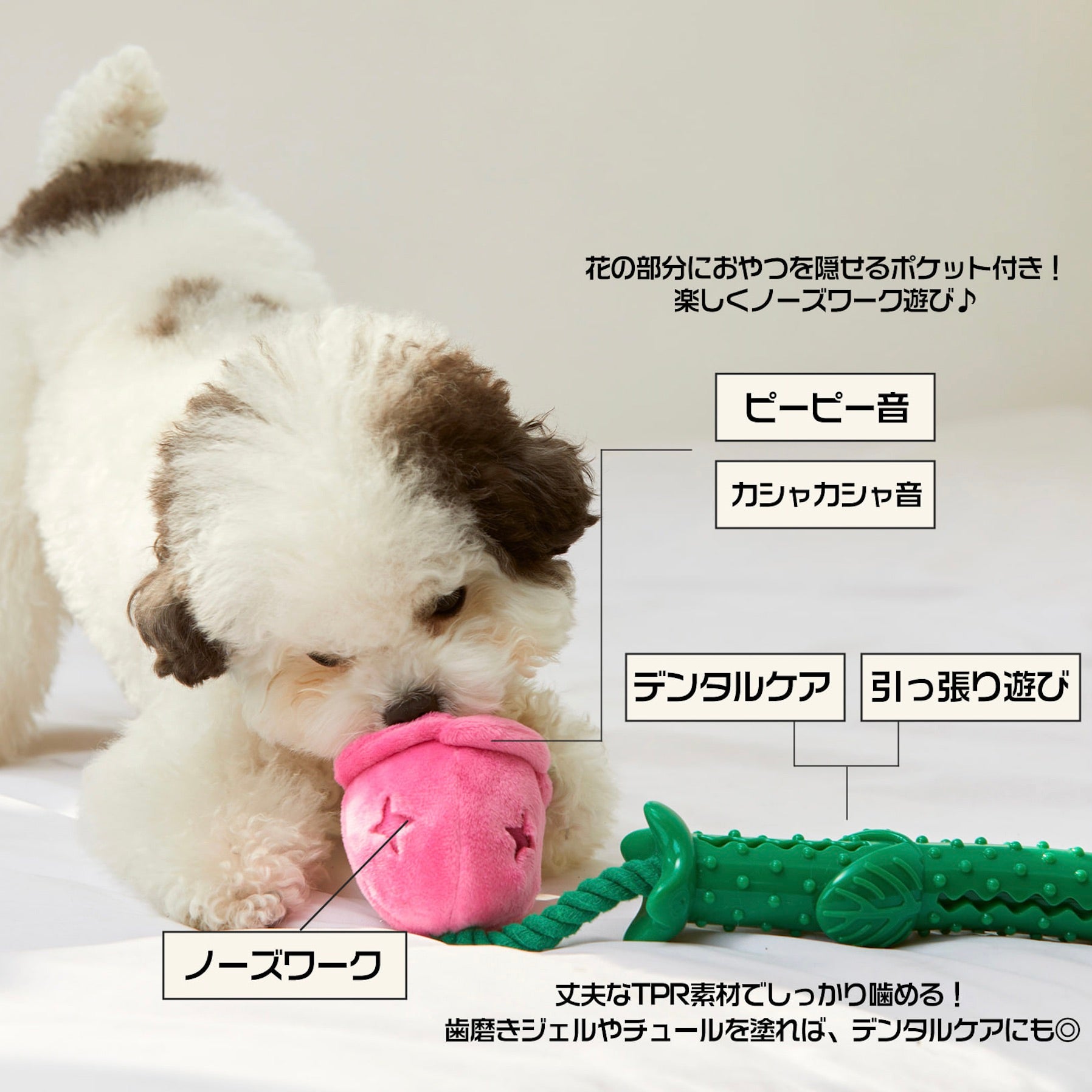 海外犬服 高品質なインポートのドッグウェア通販 