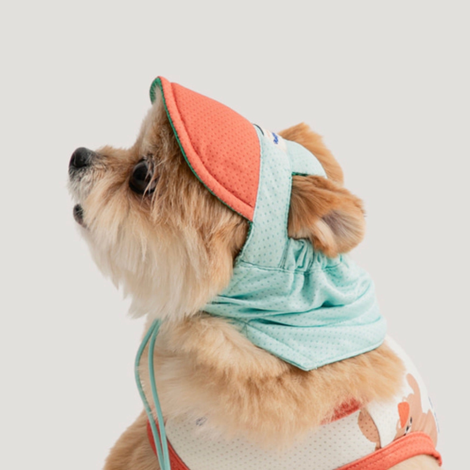 海外犬服 高品質なインポートのドッグウェア通販 