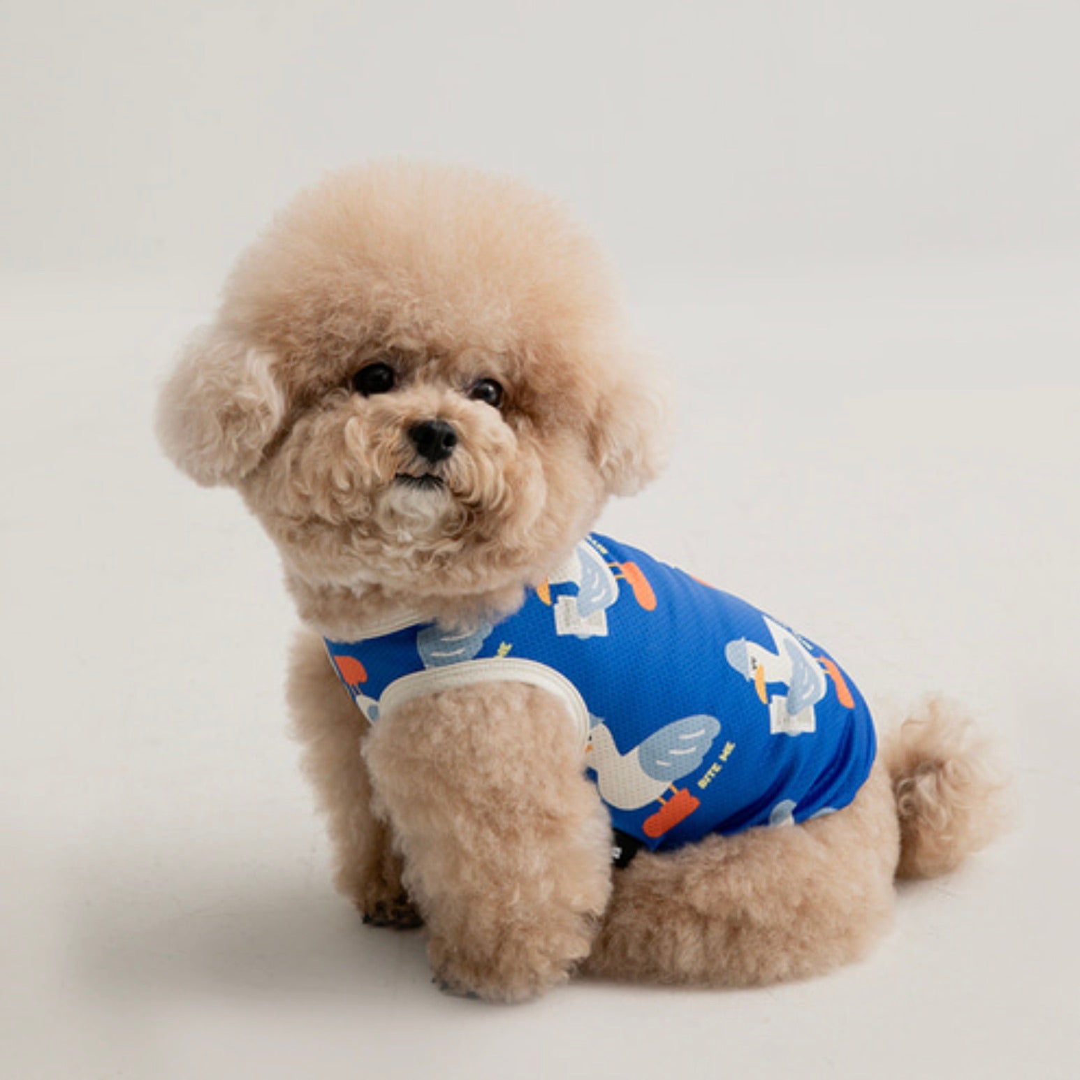 海外犬服 高品質なインポートのドッグウェア通販 
