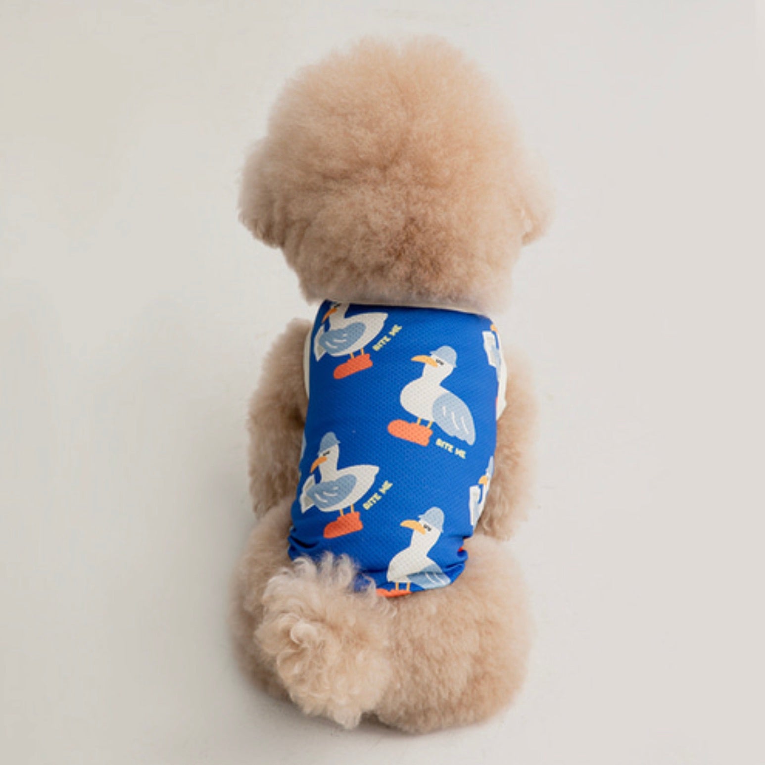 海外犬服 高品質なインポートのドッグウェア通販 