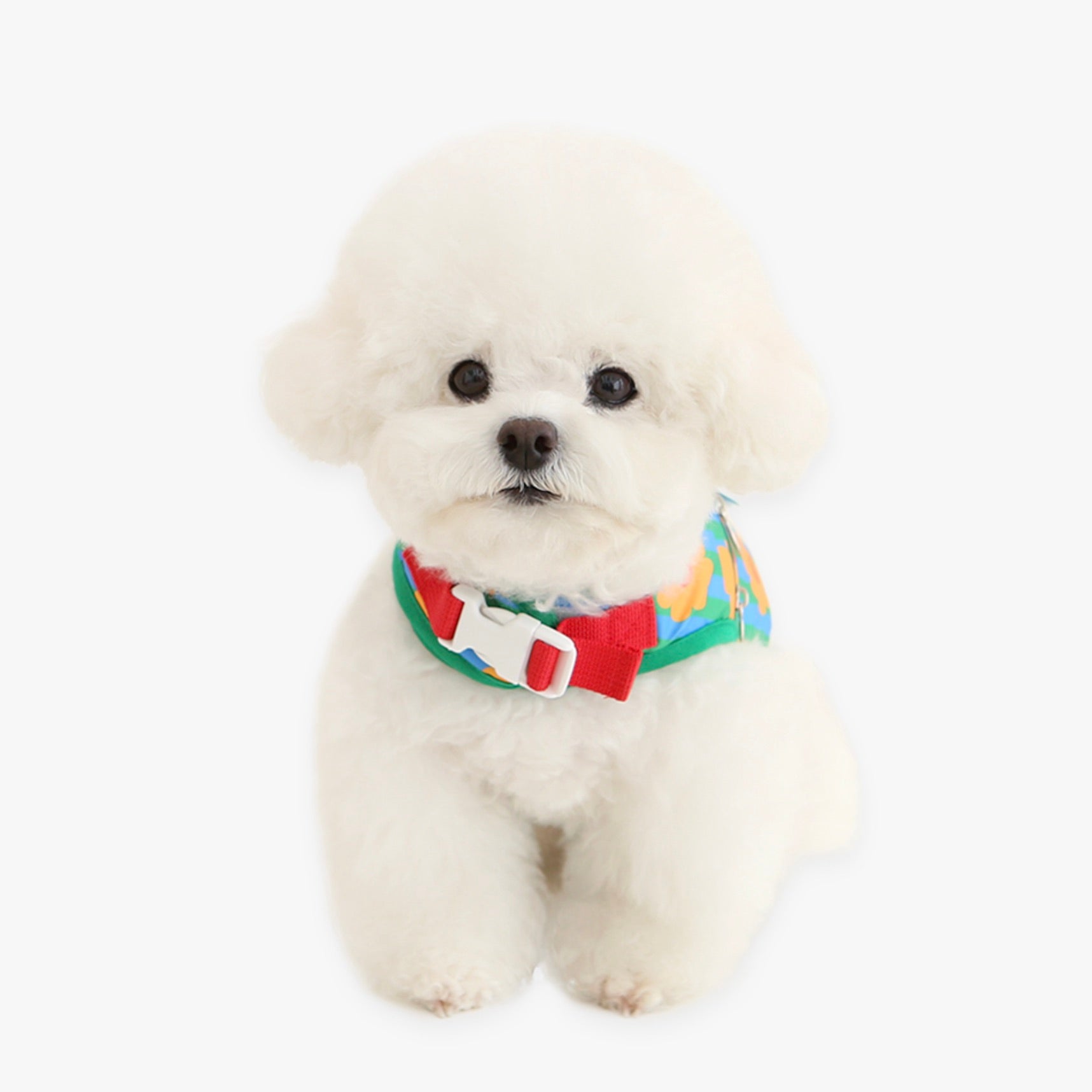 海外犬服 高品質なインポートのドッグウェア通販 