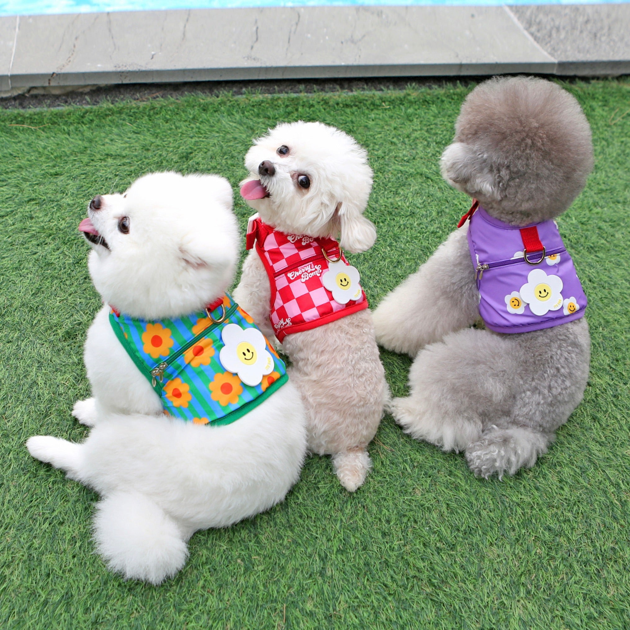 海外犬服 高品質なインポートのドッグウェア通販 