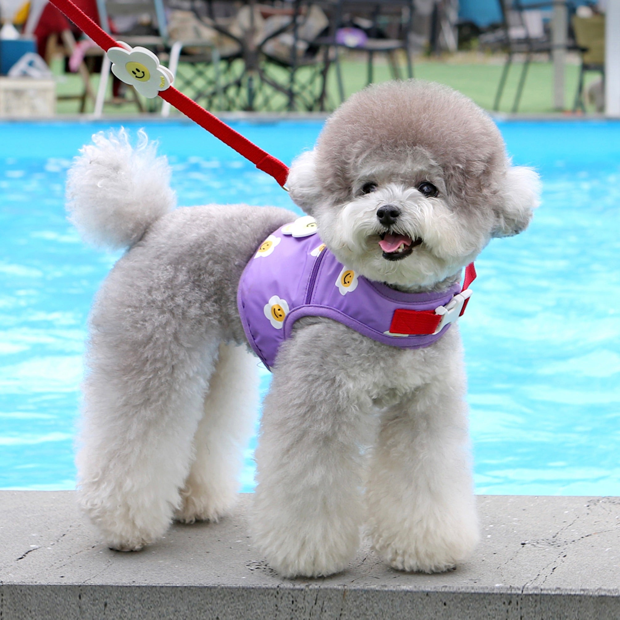 海外犬服 高品質なインポートのドッグウェア通販 