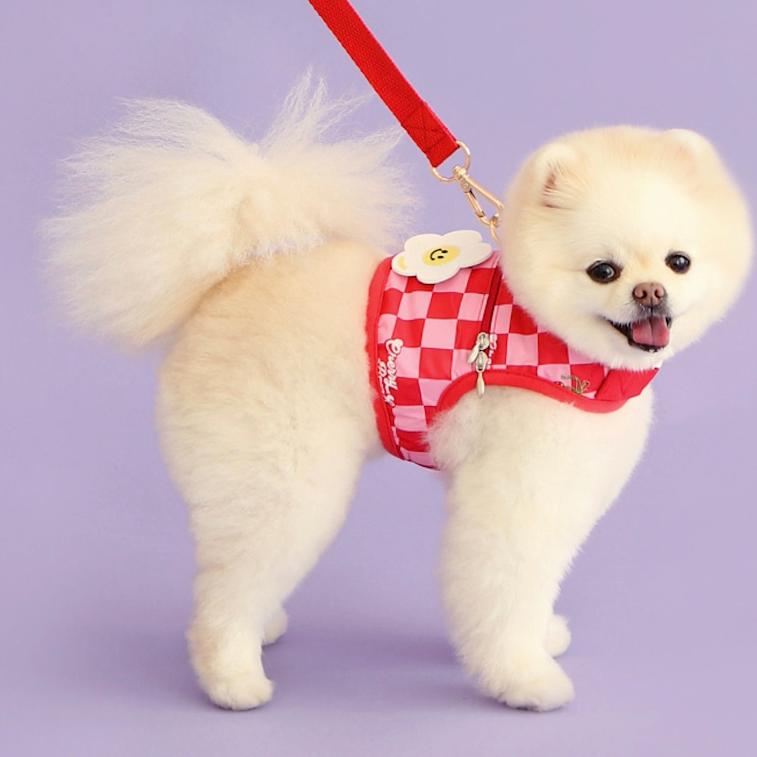 即納【ITS DOG】Ice Popping Cool Harness（Cherry Bomb）｜犬用ハーネス