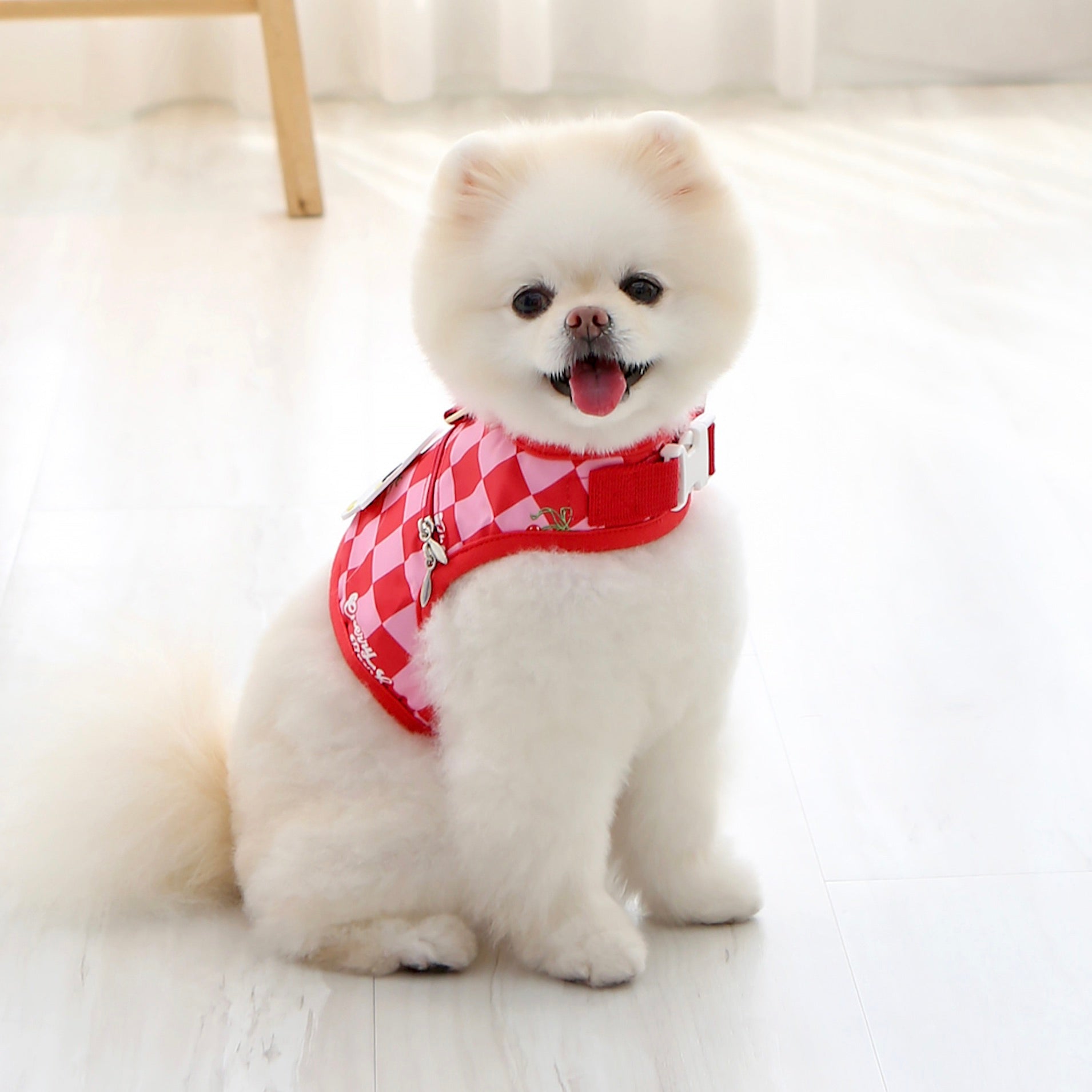 海外犬服 高品質なインポートのドッグウェア通販 