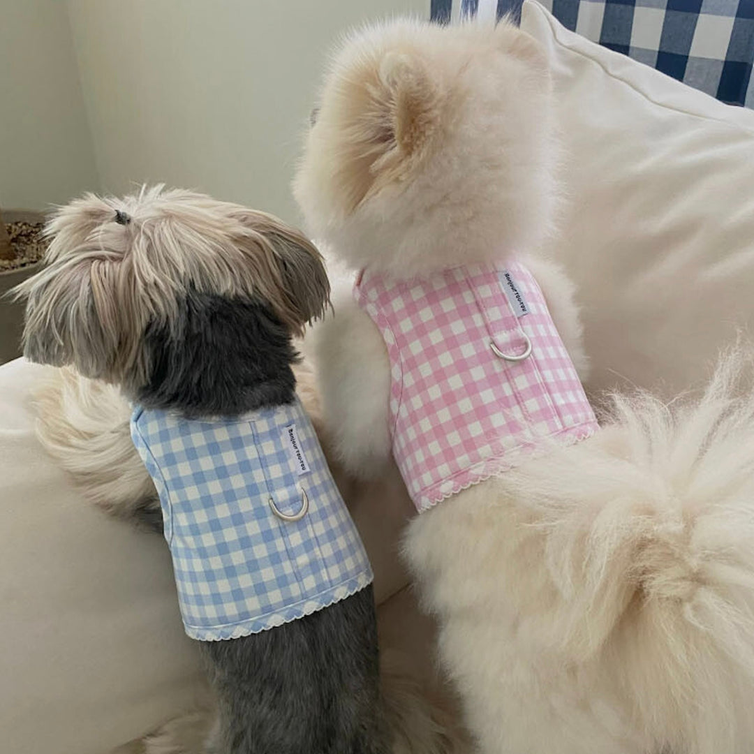 ※予約販売【Bonjour TOU-TOU】Eyelet Check Harness（Sky）