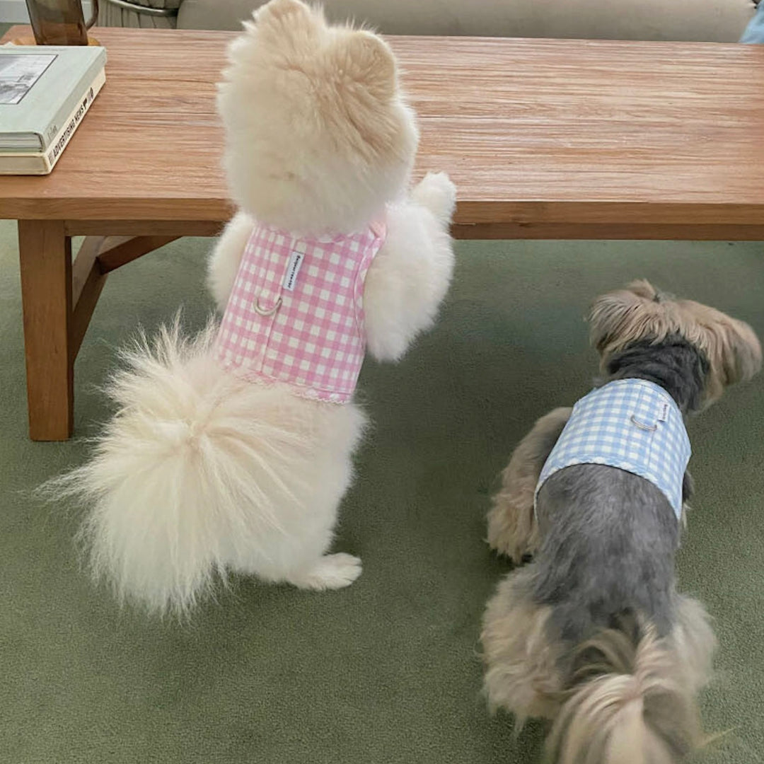 ※予約販売【Bonjour TOU-TOU】Eyelet Check Harness（Sky）