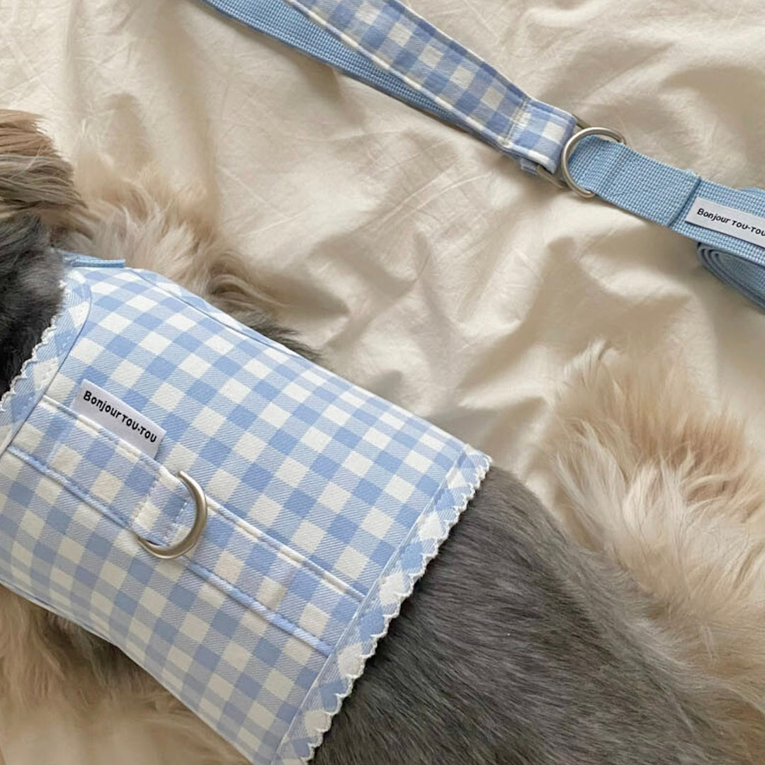 ※予約販売【Bonjour TOU-TOU】Eyelet Check Harness（Sky）
