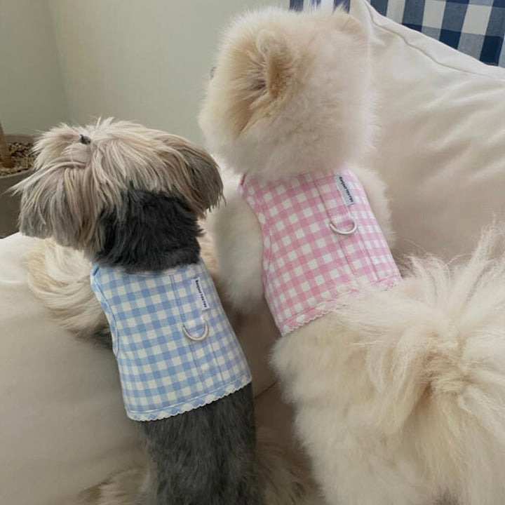 ※予約販売【Bonjour TOU-TOU】Eyelet Check Harness（Sky）