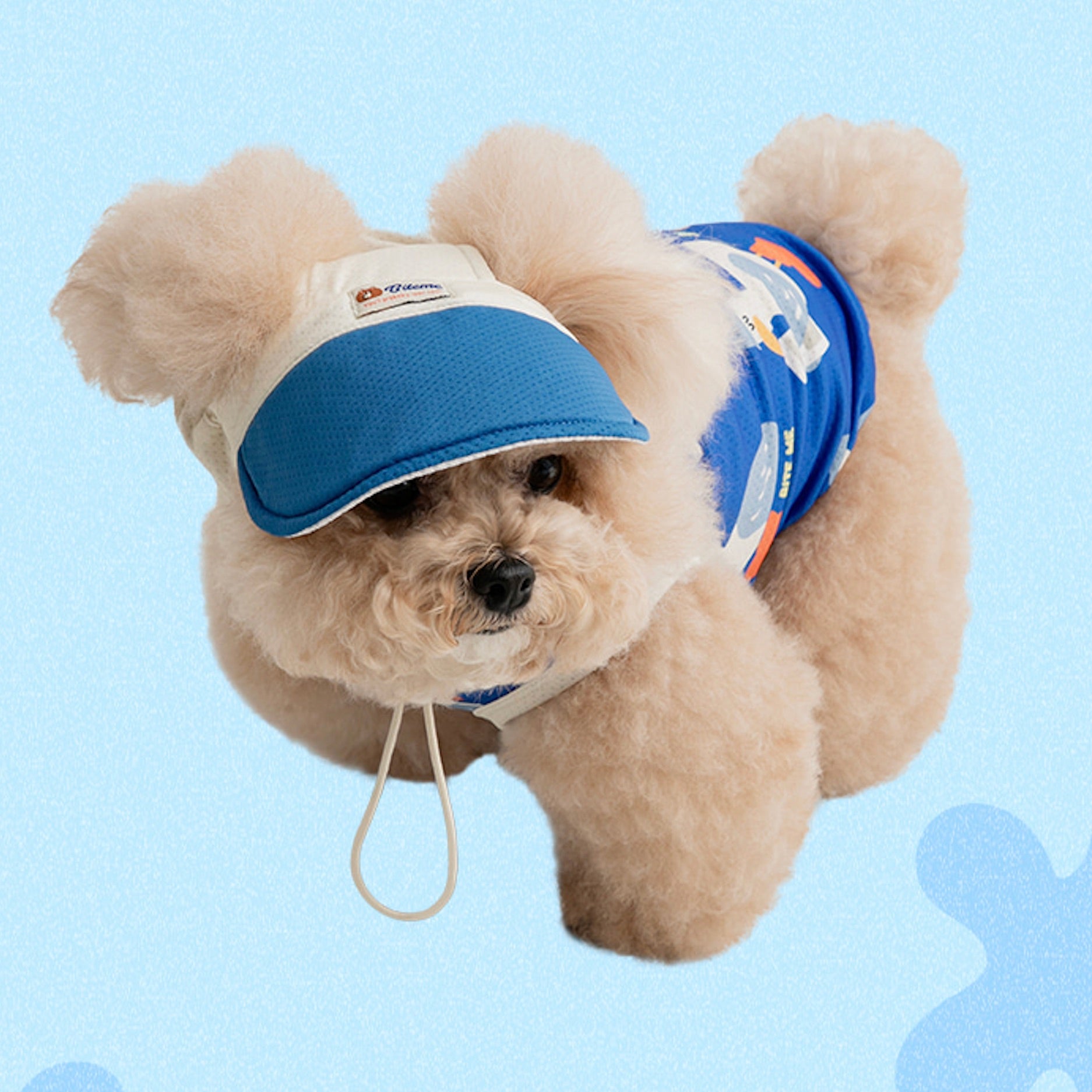 海外犬服 高品質なインポートのドッグウェア通販 